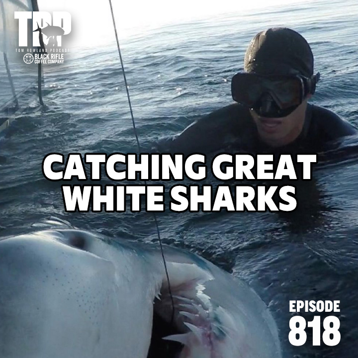 Catching Great White Sharks and Filmmaking with Chip Michaelove and Taylor Horton