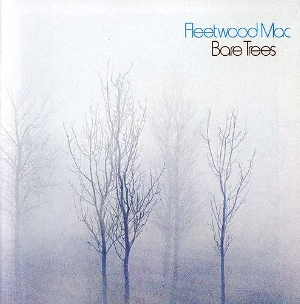 6. DAY BY DAY: FLEETWOOD MAC - BARE TREES