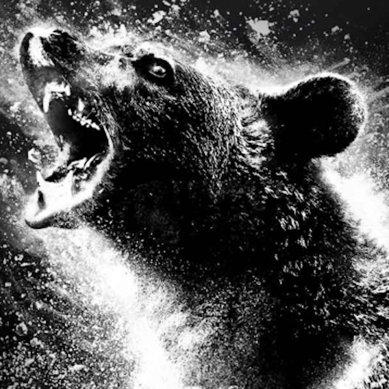 The Business of Film: Cocaine Bear, What's Love Got To Do With It, Broker & Sharper episode artwork