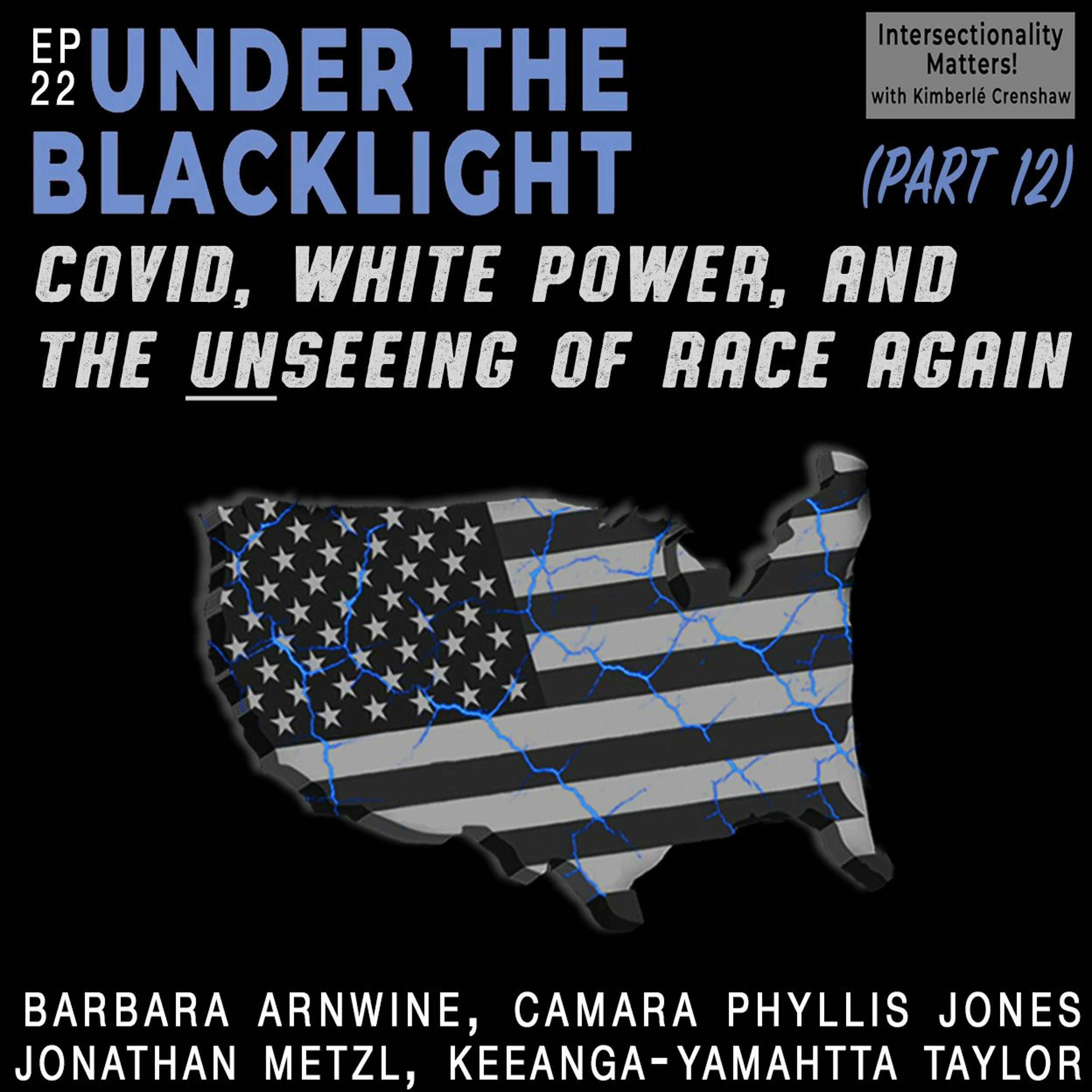 22. COVID, White Power, and the Unseeing of Race Again