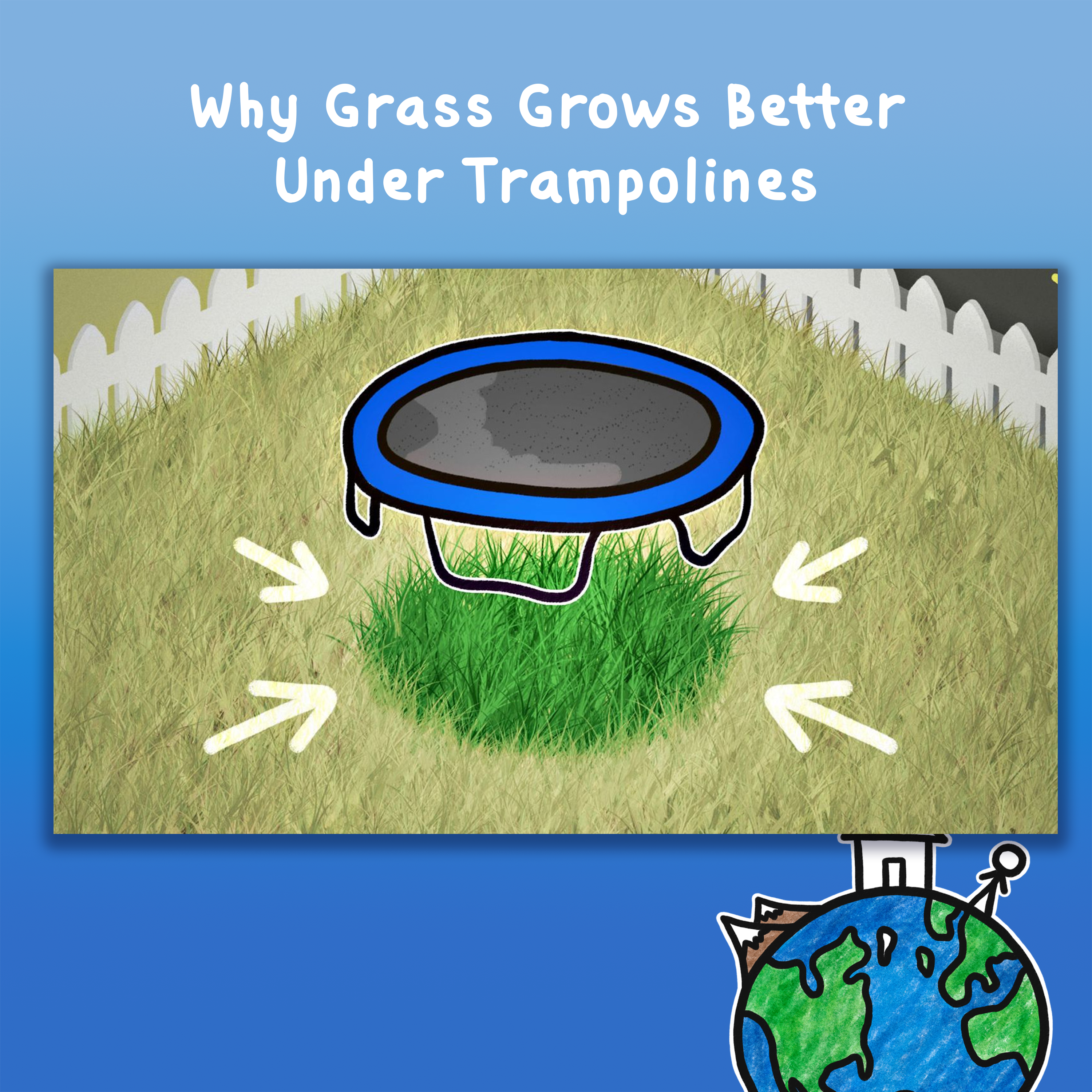 Why Grass Grows Better Under Trampolines