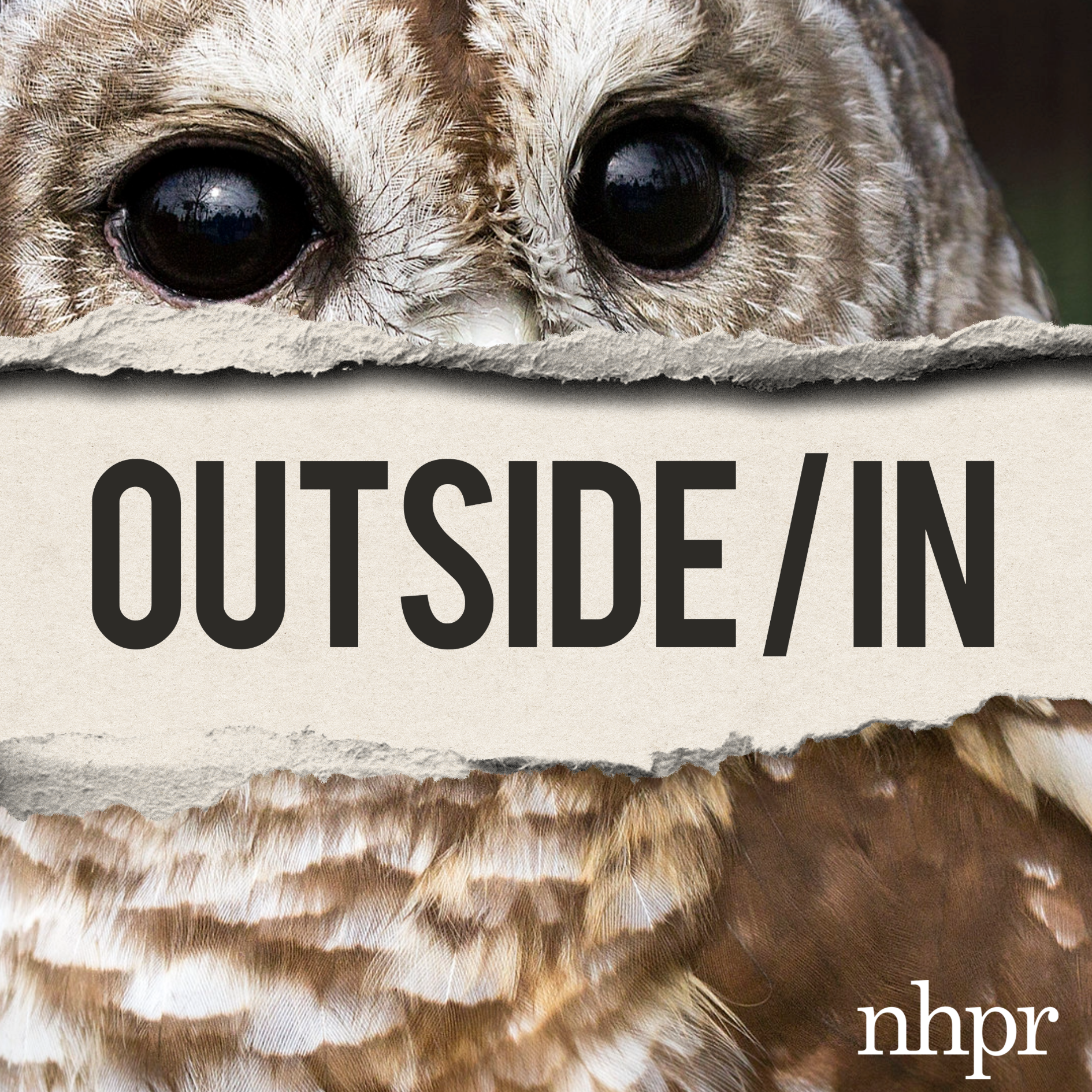 Night Owls