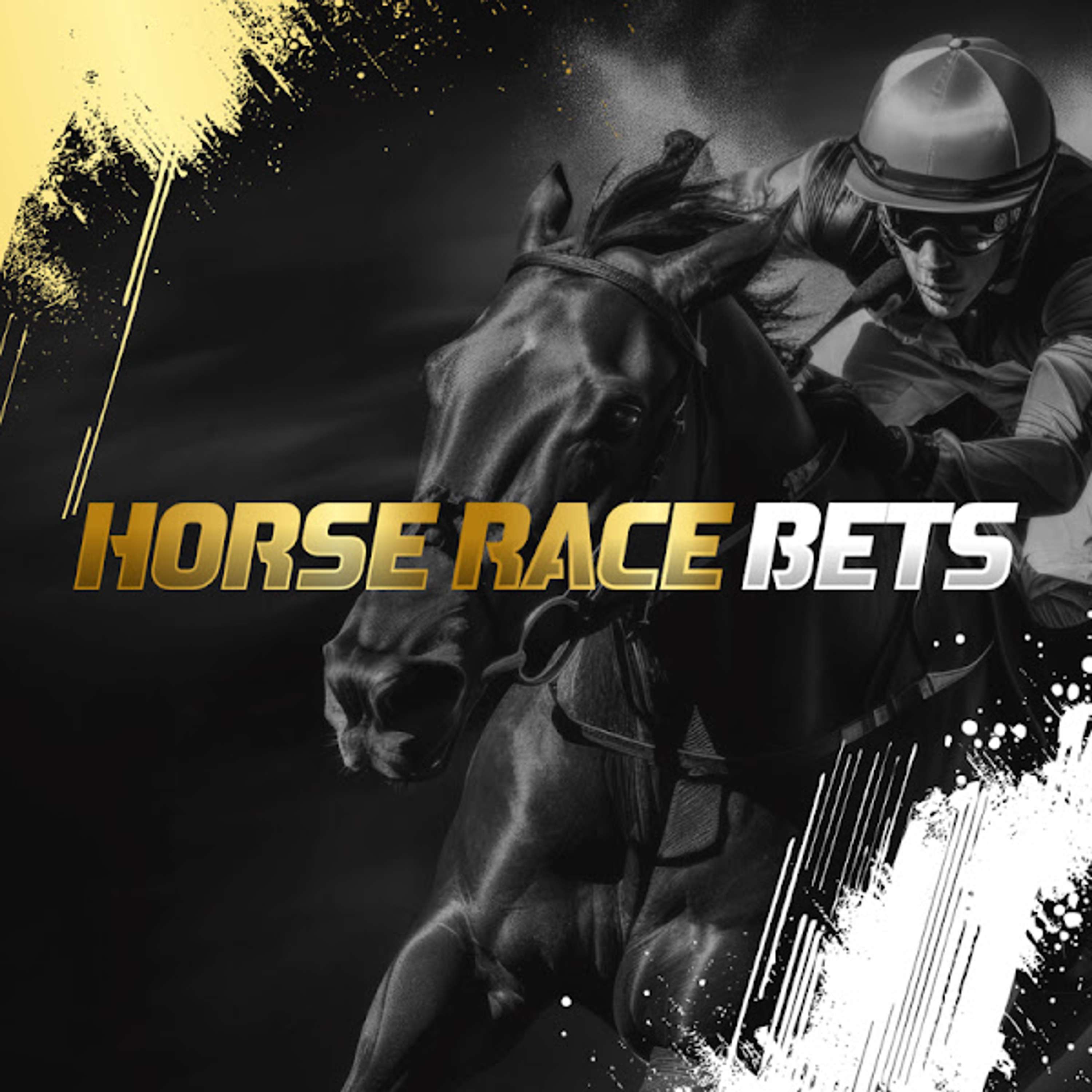 Horse Race Bets | Daily Horse Racing & Betting Podcast