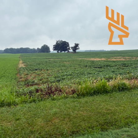 Whitetail Landscapes - Designing Wildlife Travel Corridors and Hedgerows