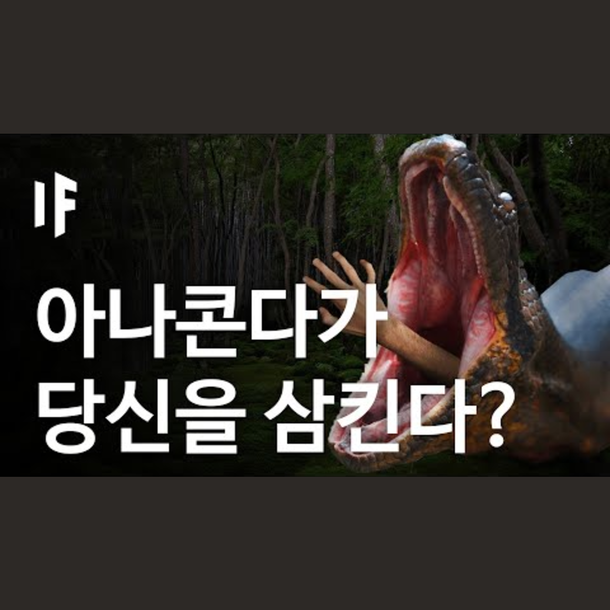 만약에 아나콘다가 당신을 집어삼킨다면? [한국어 더빙] | 만약에 What If Korea episode artwork
