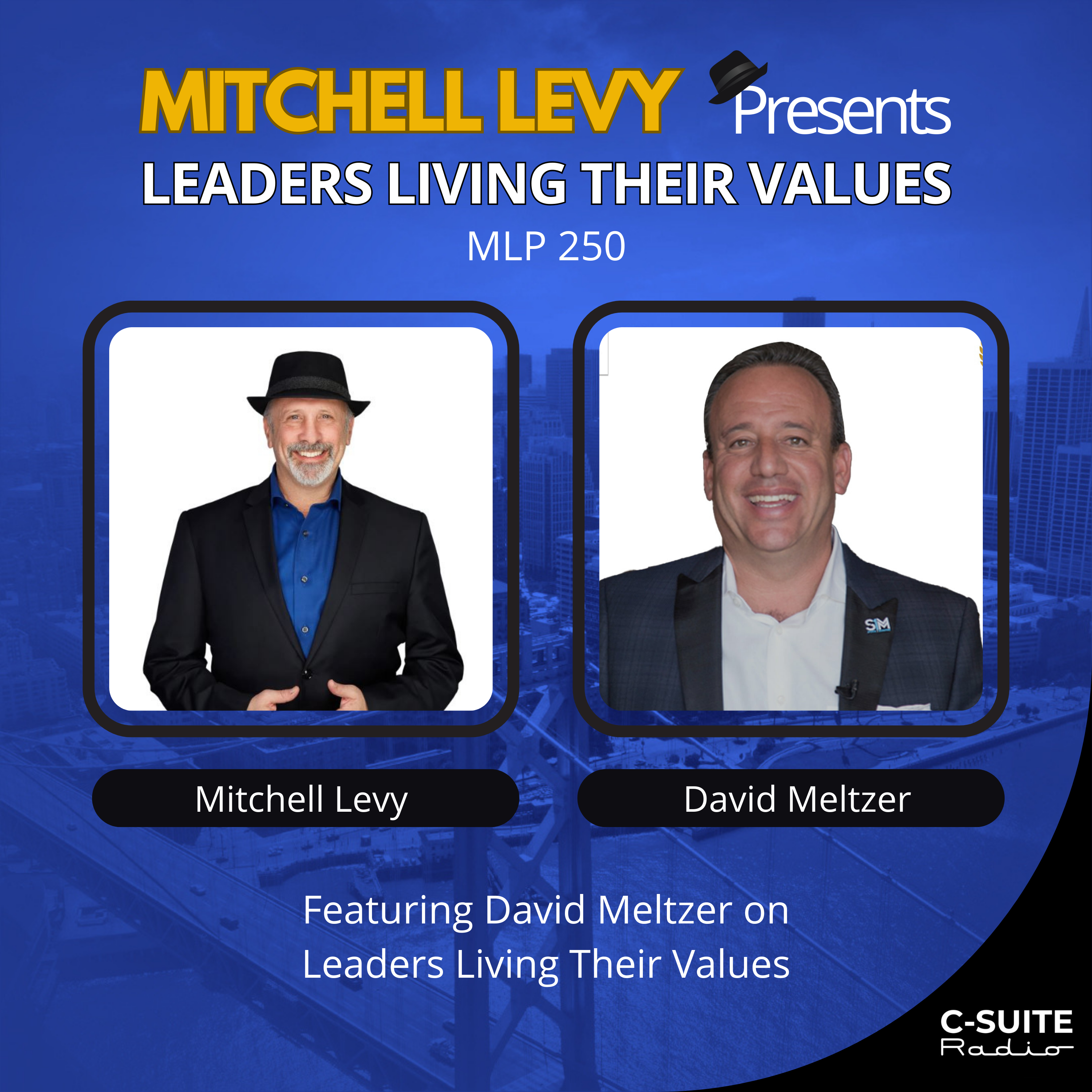 David Meltzer on Leaders LIVING Their Values (MLP 250) episode artwork