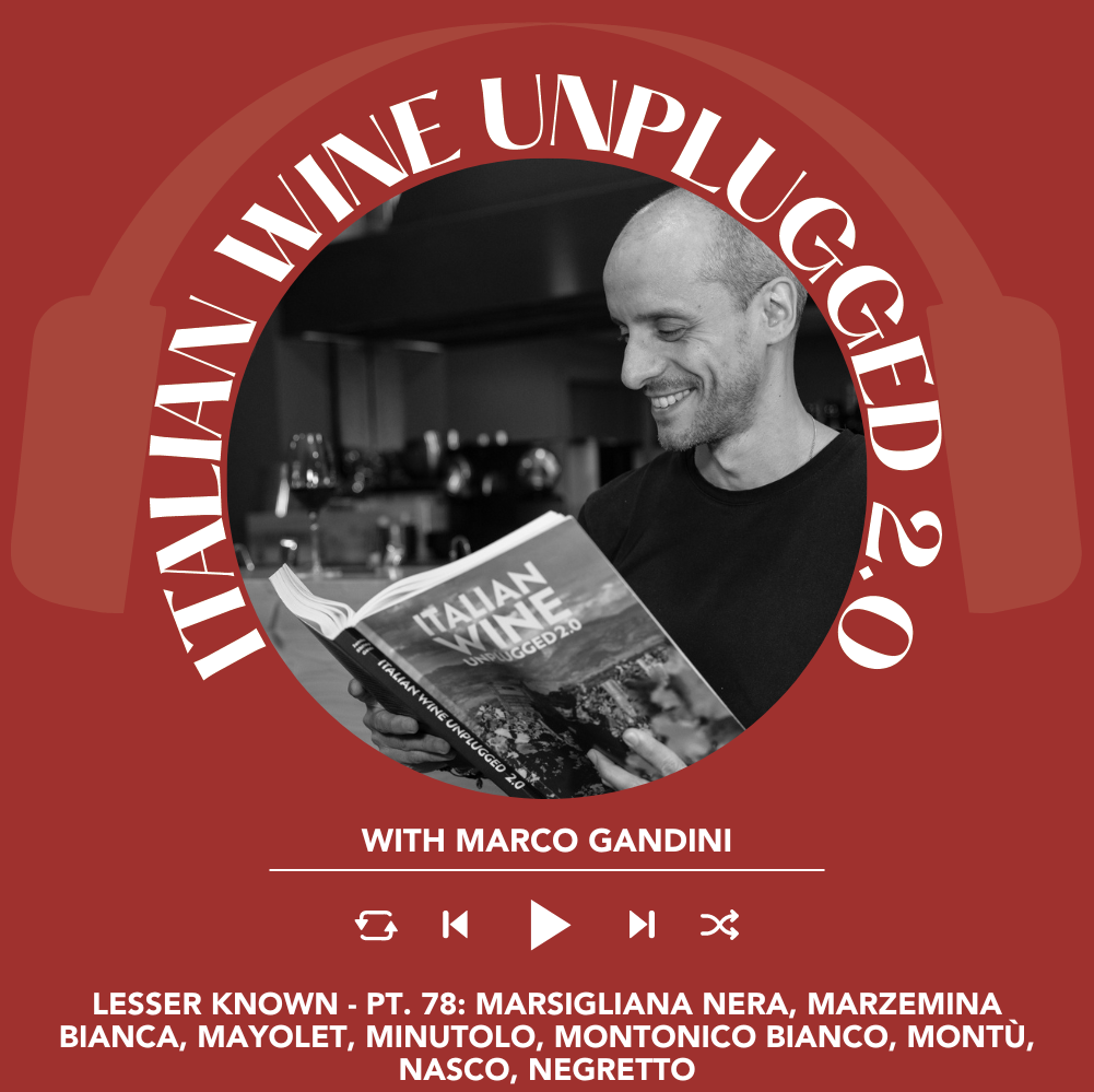 Marco Gandini Narrates Pt. 78 | Italian Wine Unplugged 2.0