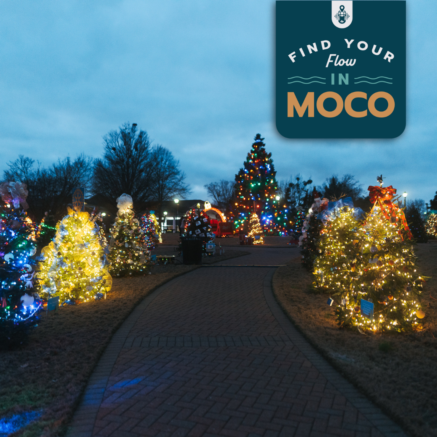 Find Your Flow in MoCo