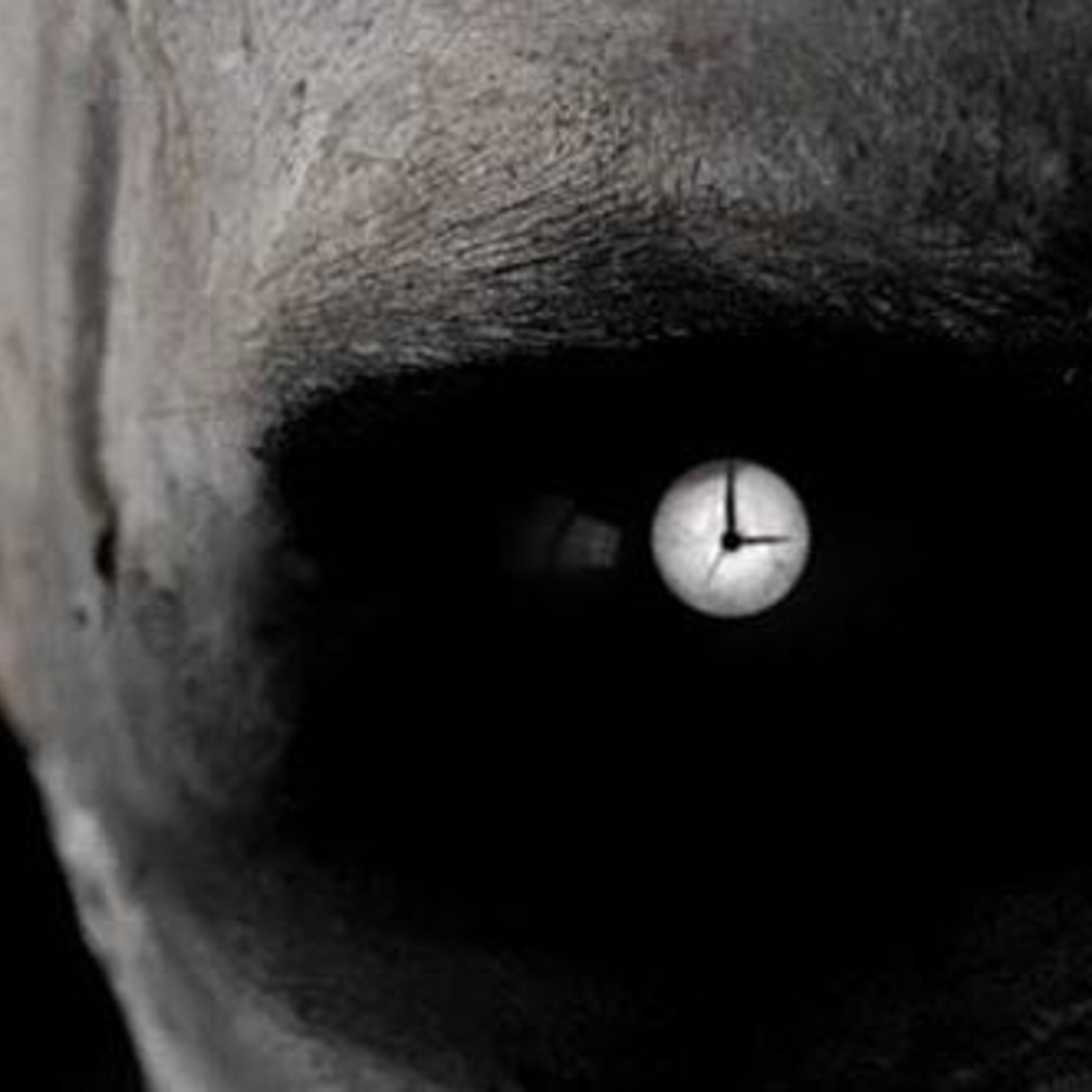 Deathbed Confession & The Devils Hour Edition - The Paranormal 60 News