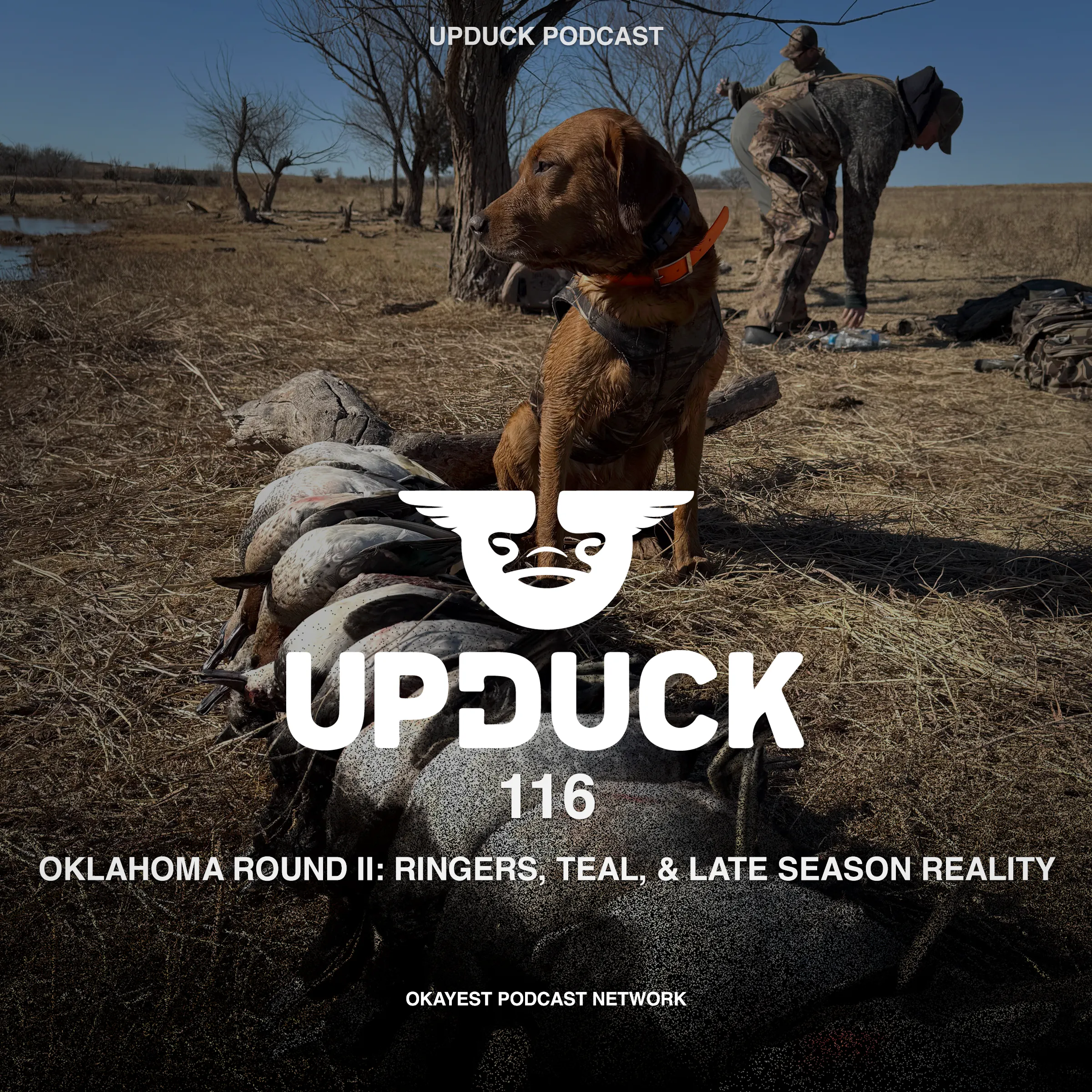 Oklahoma Round Two: Ringers, Teal, & Late Season Reality episode artwork