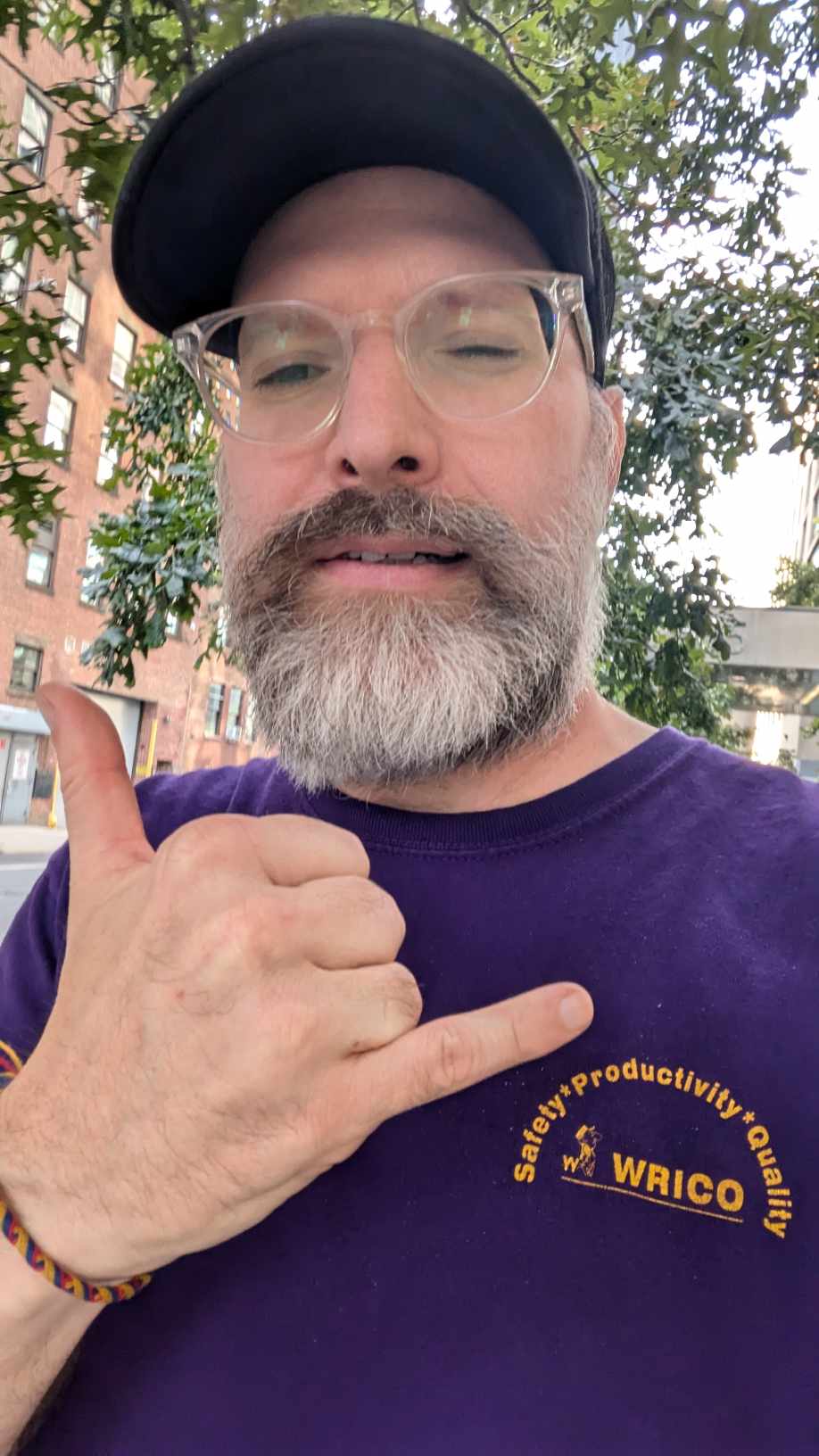 DLG342 Comedian Shawn WIckens takes a deep dive with Dr. Lisa into why he doesn't like to talk on the phone.