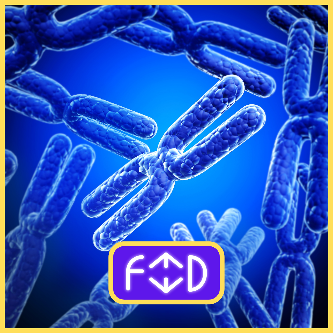 FEED: Il cromosoma Y scomparirà? Cosa comporta per il nostro futuro