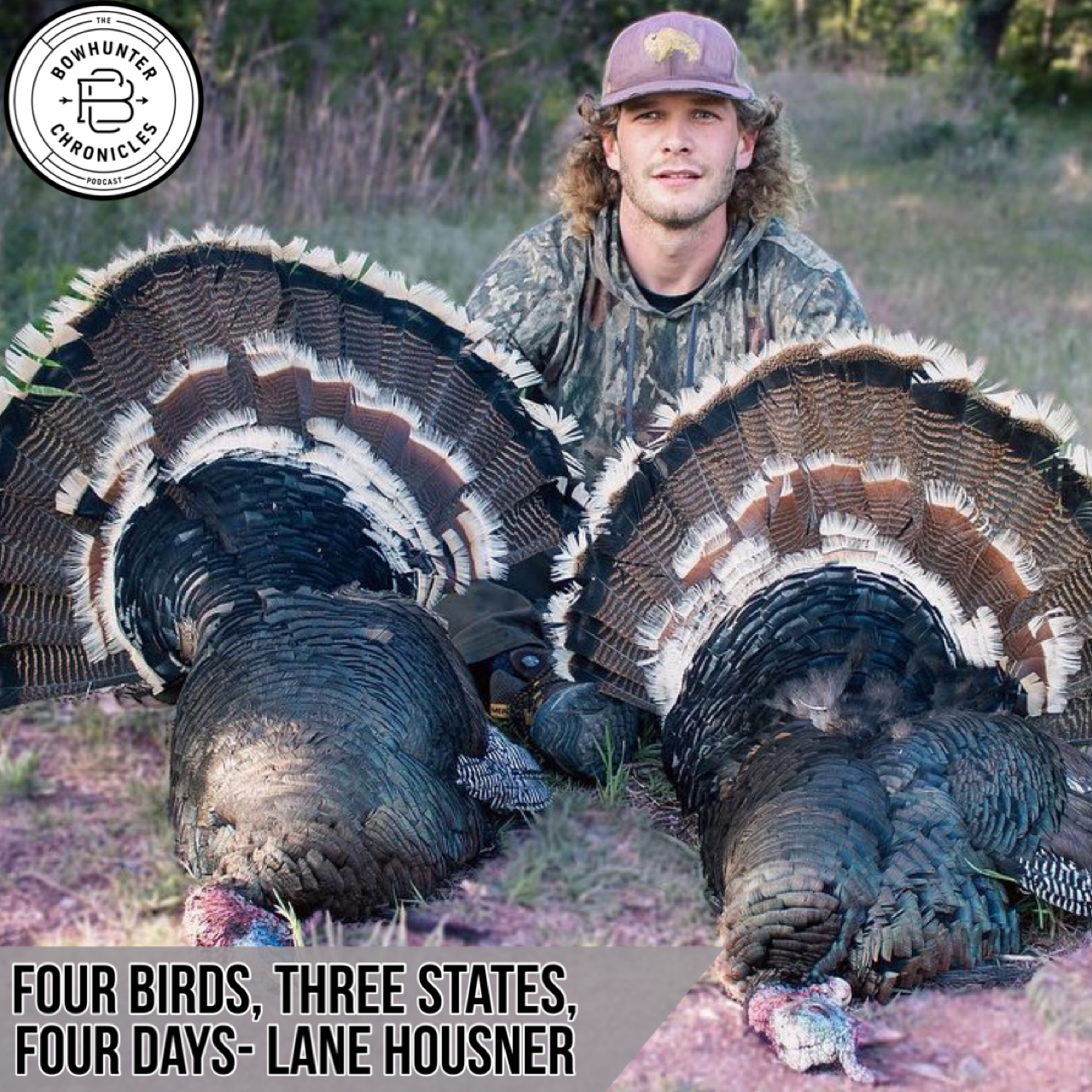 Four Birds, Three States, Four Days - Lane Housner