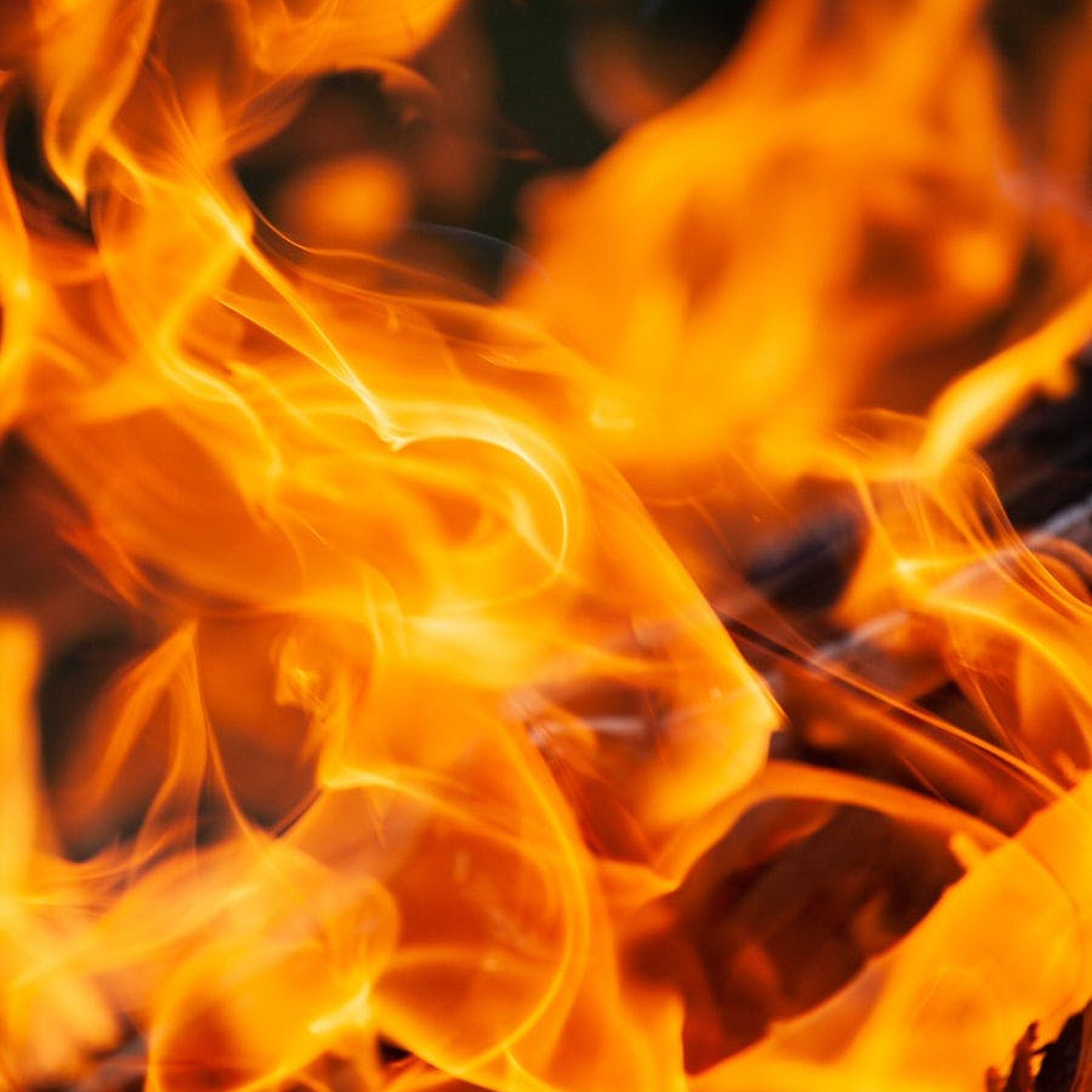 Ep. 130: How To Focus During Armageddon