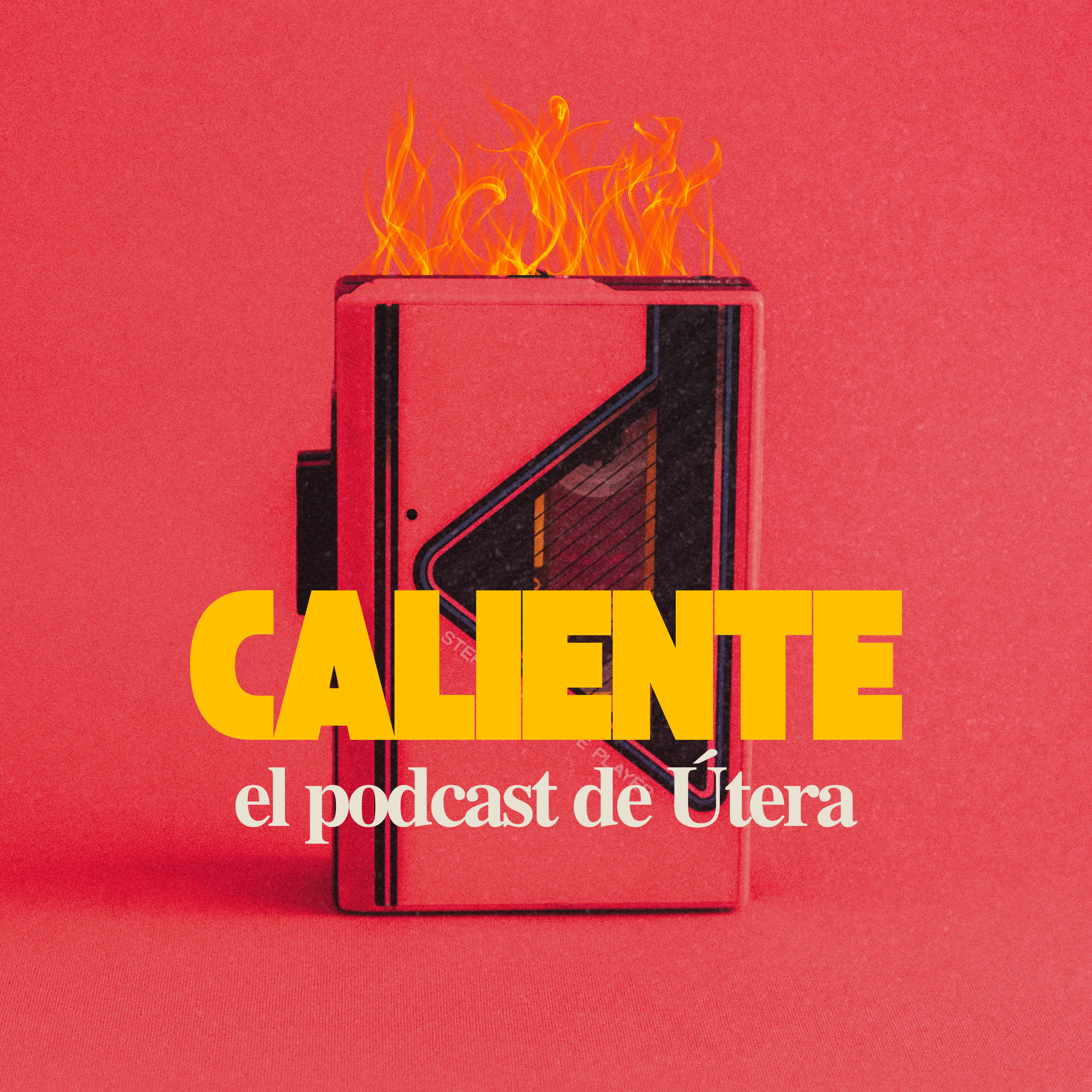 #1 | VULVA: volviendo a habitarnos