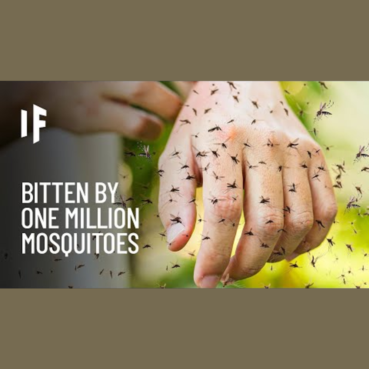 What If You Were Bitten by One Million Mosquitoes? episode artwork