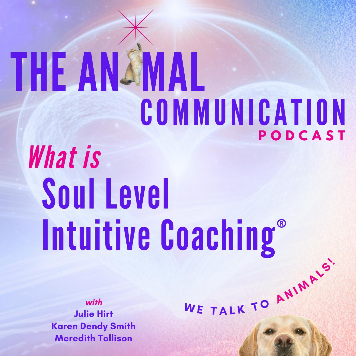 What is Soul Level Intuitive Coaching? What is Soul Level Intuitive Coaching?