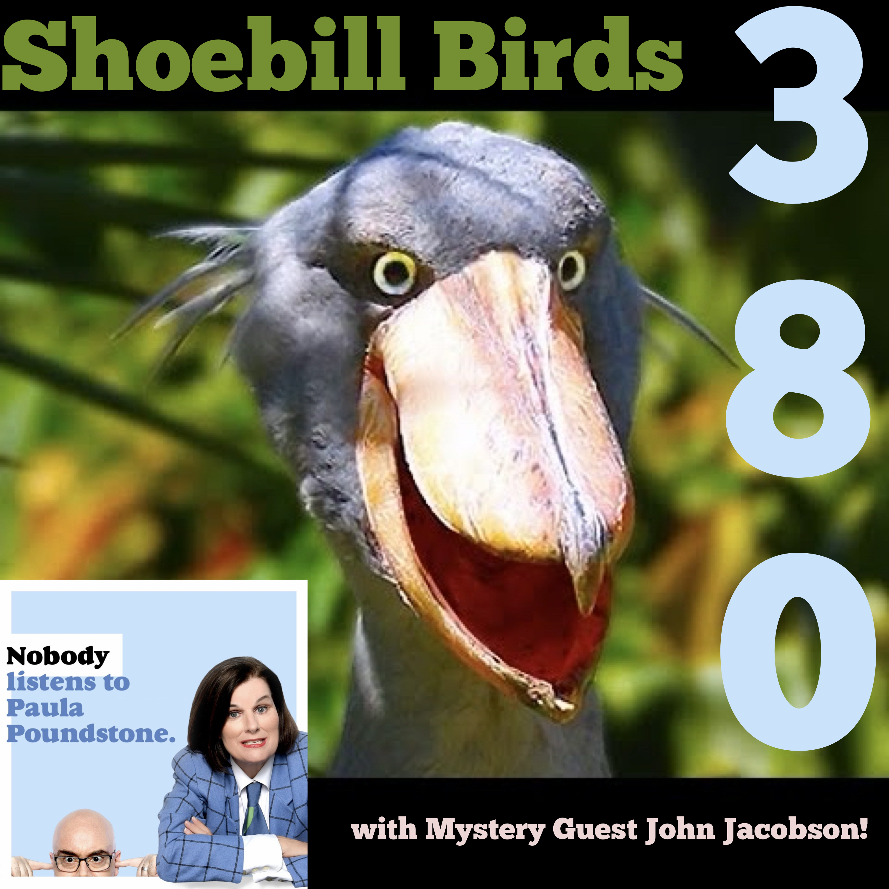 EP. 380: Shoebill Birds with Mystery Guest John Jacobson!
