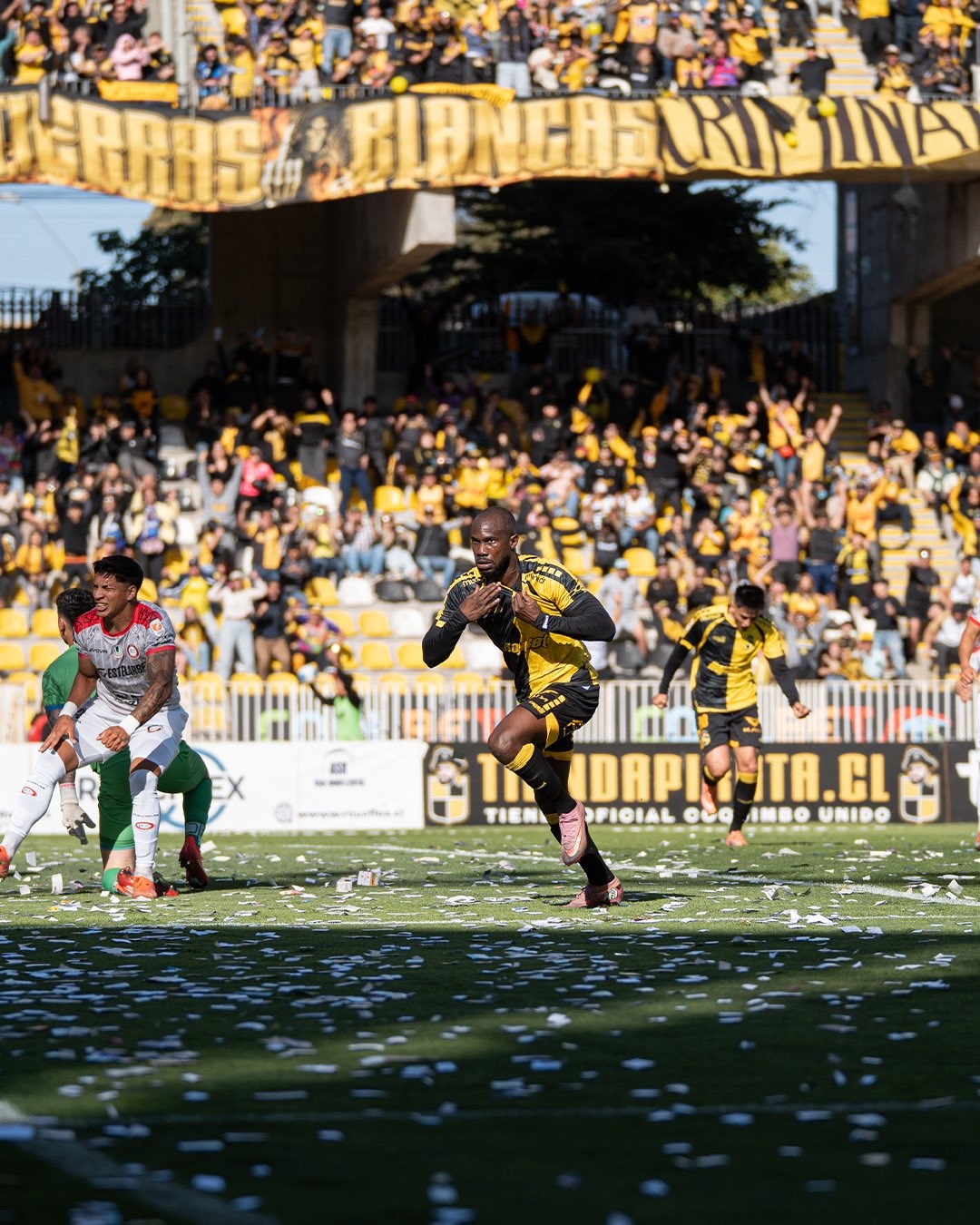 Os 'Piratas' encontram ouro no Chile!