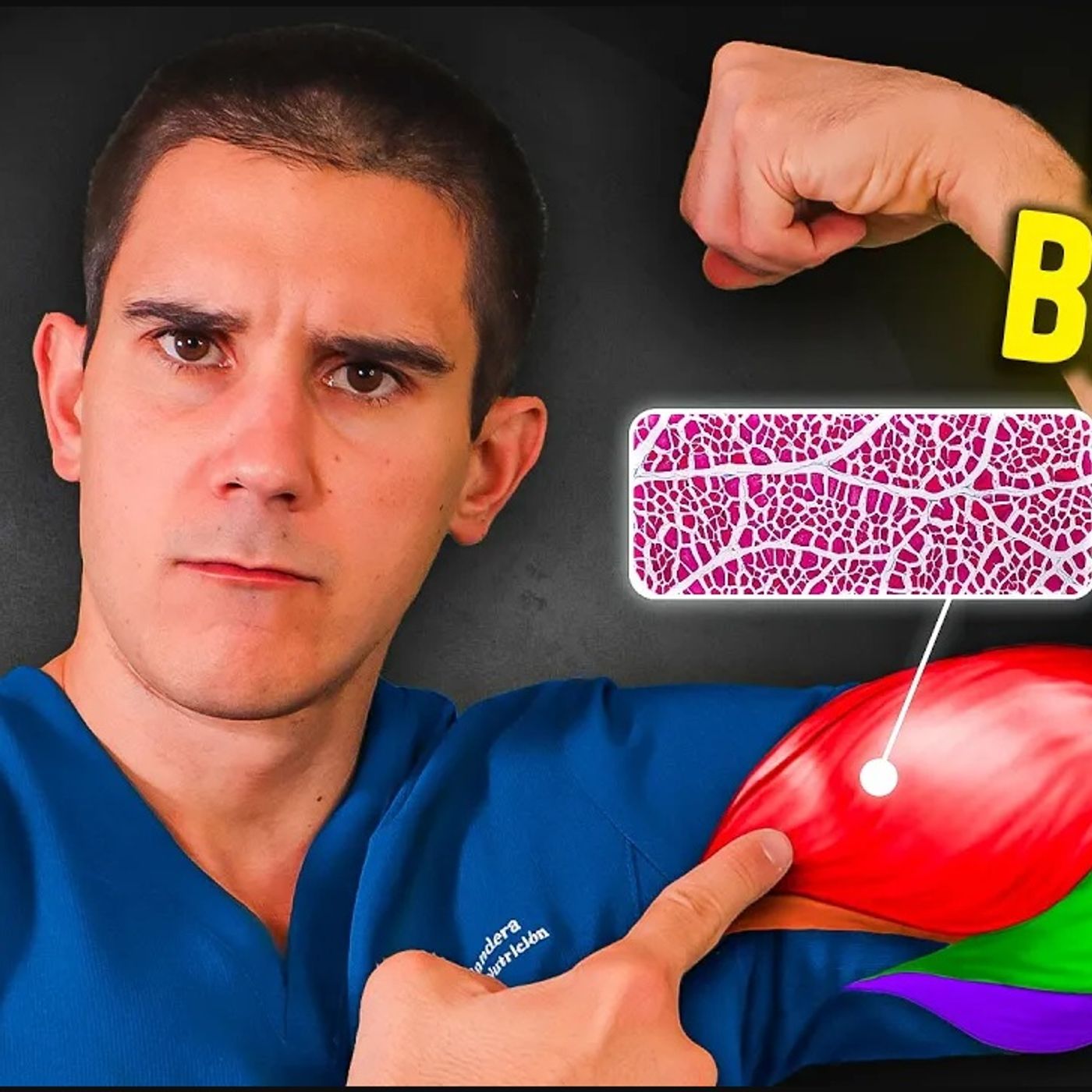 Portada de Dr. Borja Bandera