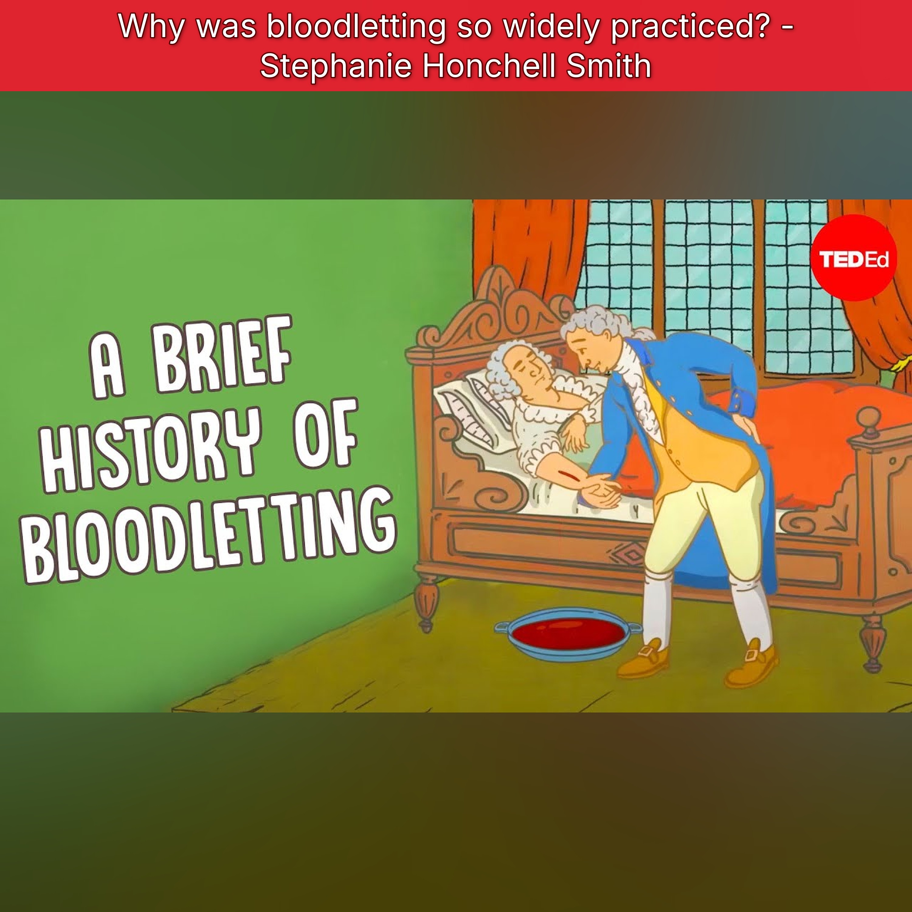 Why was bloodletting so widely practiced? - Stephanie Honchell Smith episode artwork