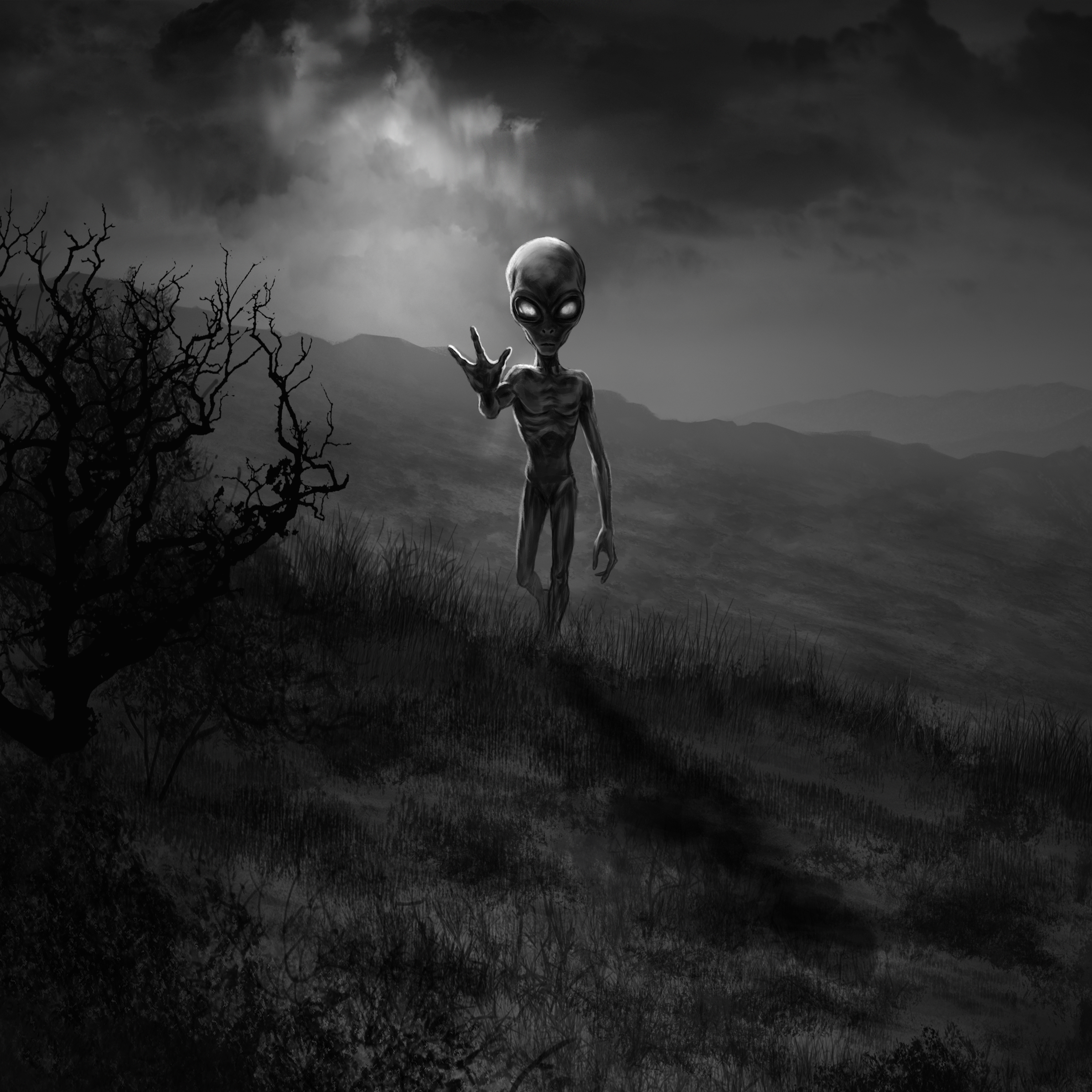 The Ilkley Moor Alien