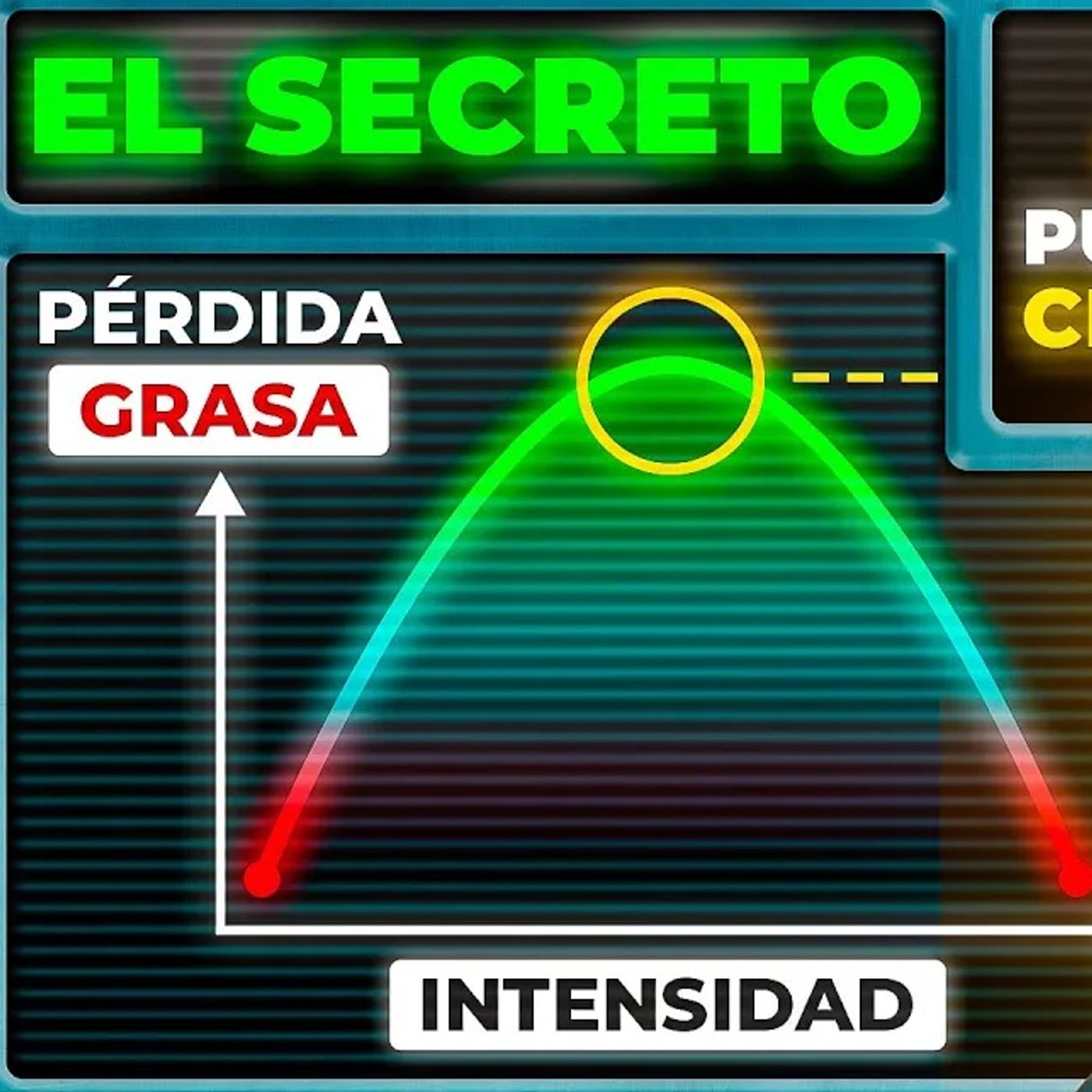 Portada de Dr. Borja Bandera