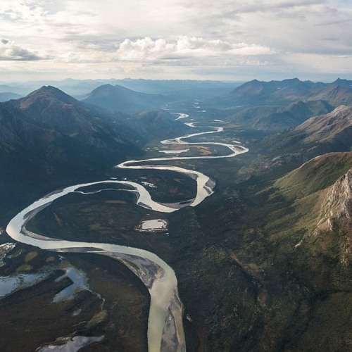 Why the Wild? Wilderness in the Anthropocene