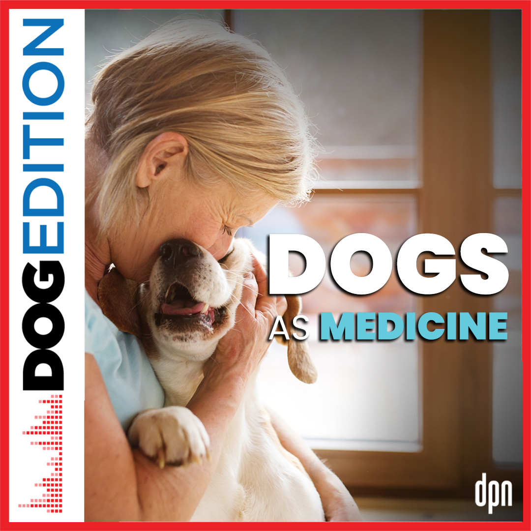 Dogs as Medicine | Dog Edition #53