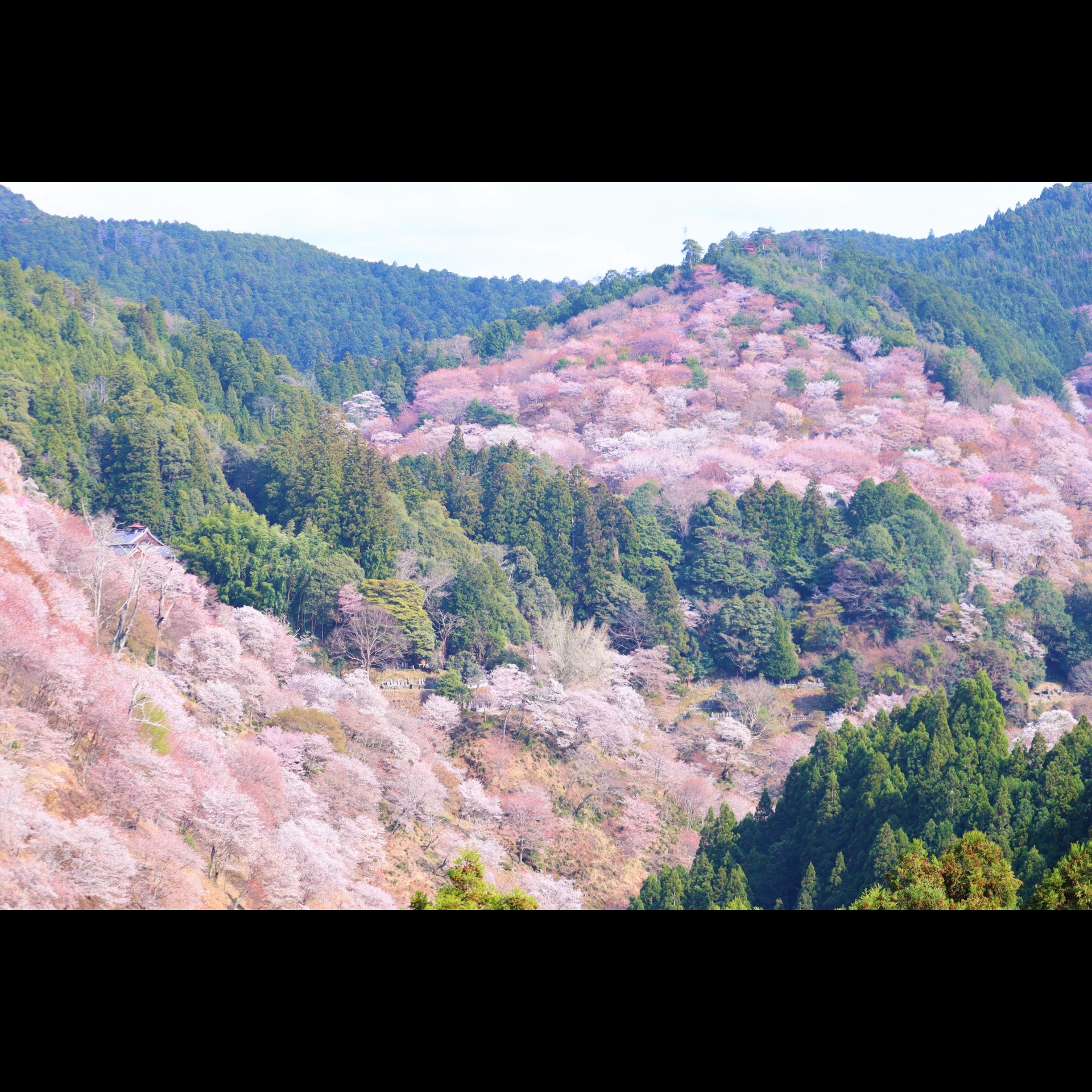#40 TOKYO FM アナウンサー 村田睦さんの「心が温まるとっておきの場所」 episode artwork