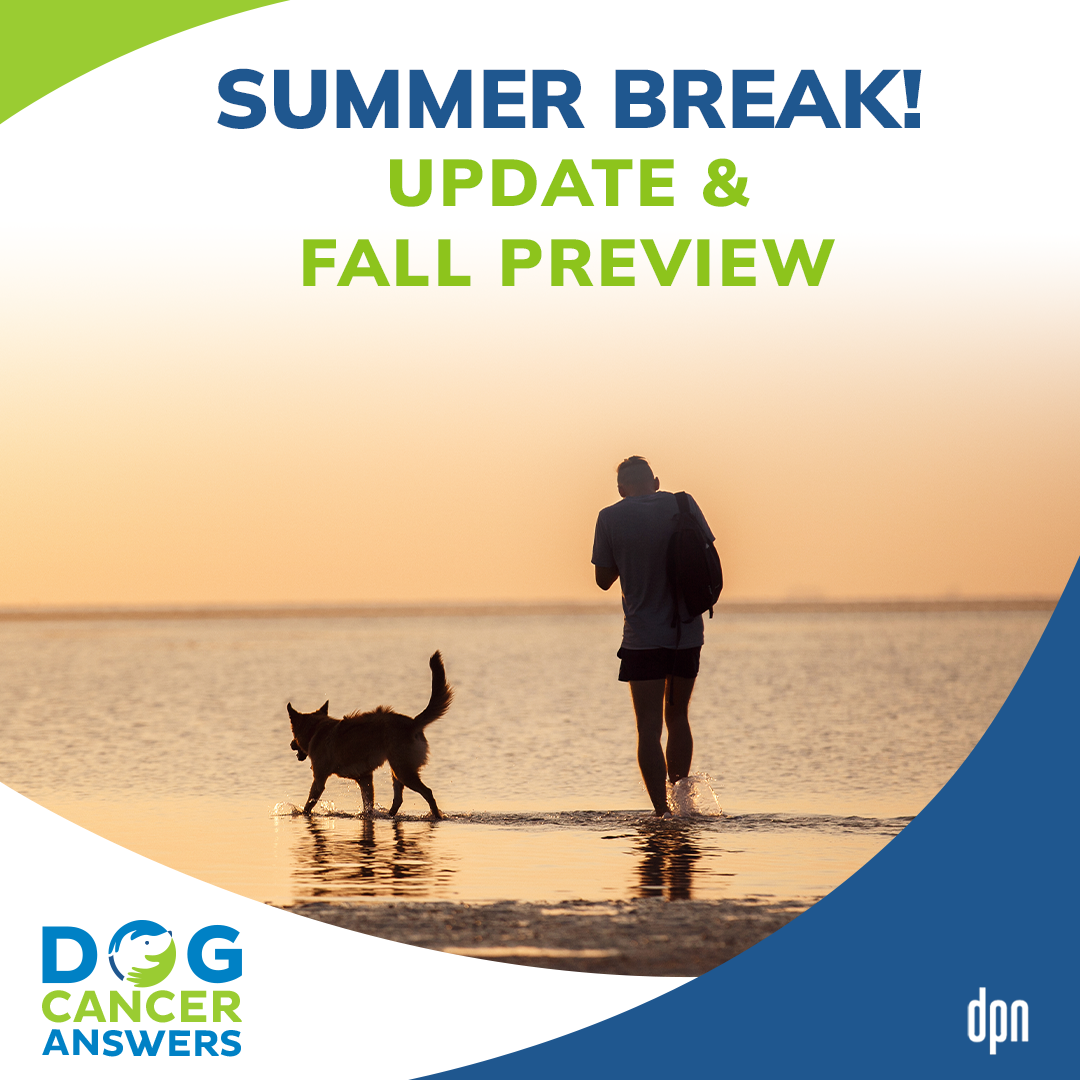Summer Break! Update & Fall Preview | Molly Jacobson #180