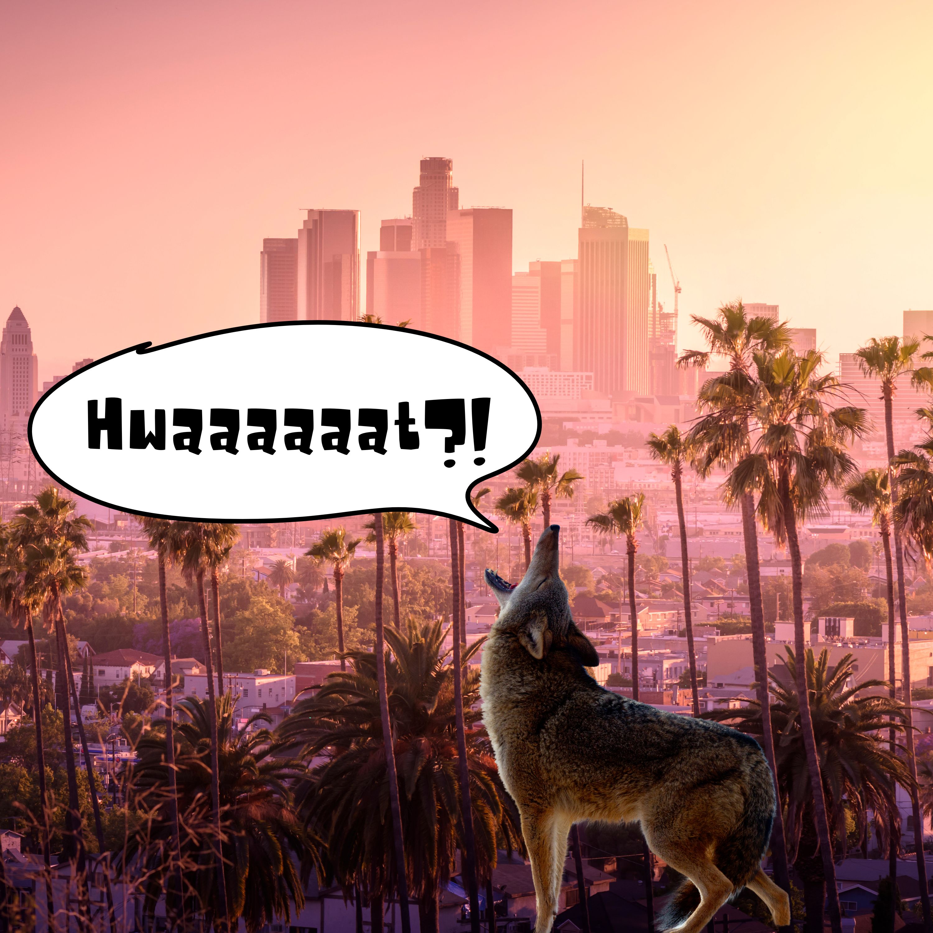 26: A Bird Makes its Home on the Shoulder