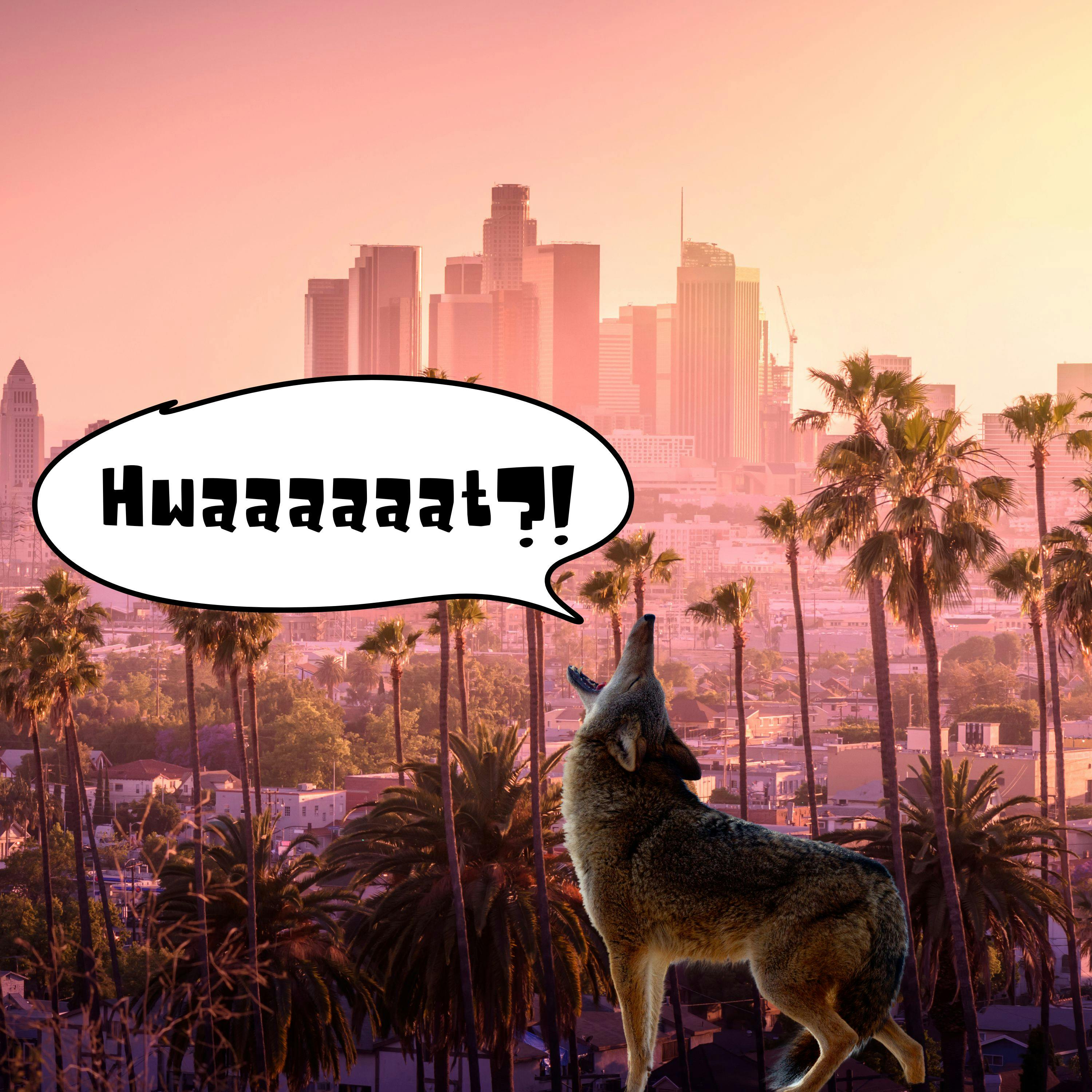 26: A Bird Makes its Home on the Shoulder 26: A Bird Makes its Home on the Shoulder