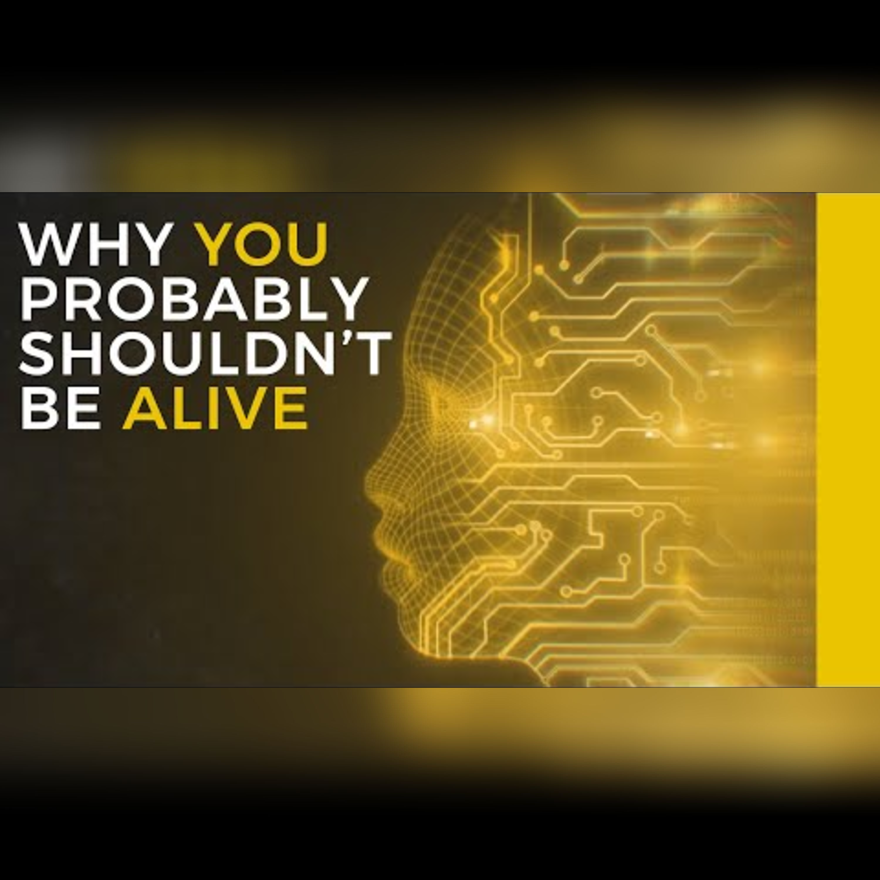 The Astonishing Odds of Human Existence