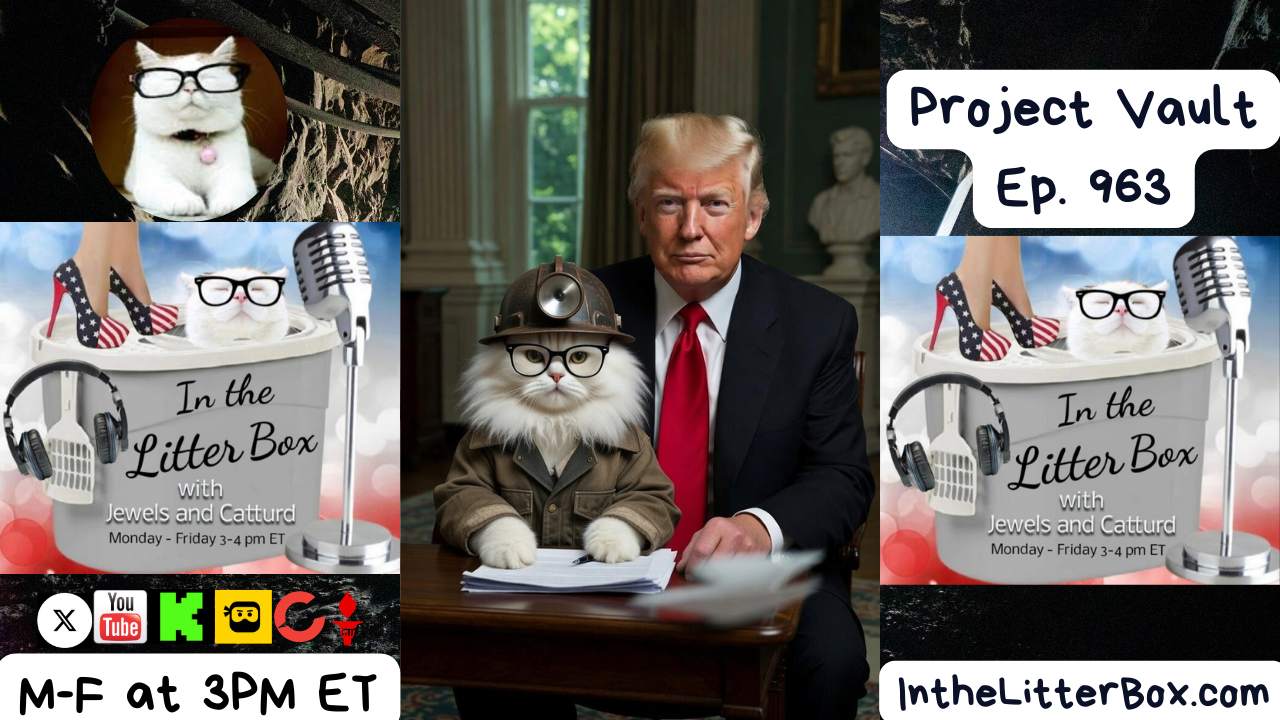 Project Vault | In the Litter Box w/ Jewels Jones & Catturd – Ep. 963 – 2/3/2026