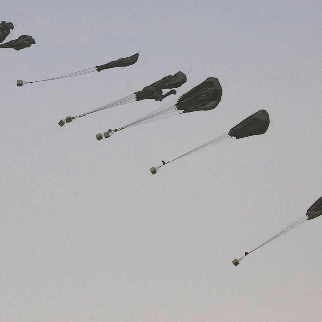 Operazione Cat Drop: gatti paracadutisti, DDT e Malaria - AperiStoria #278