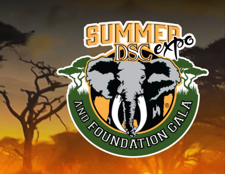 EP 292 DSC Summer Expo 2025