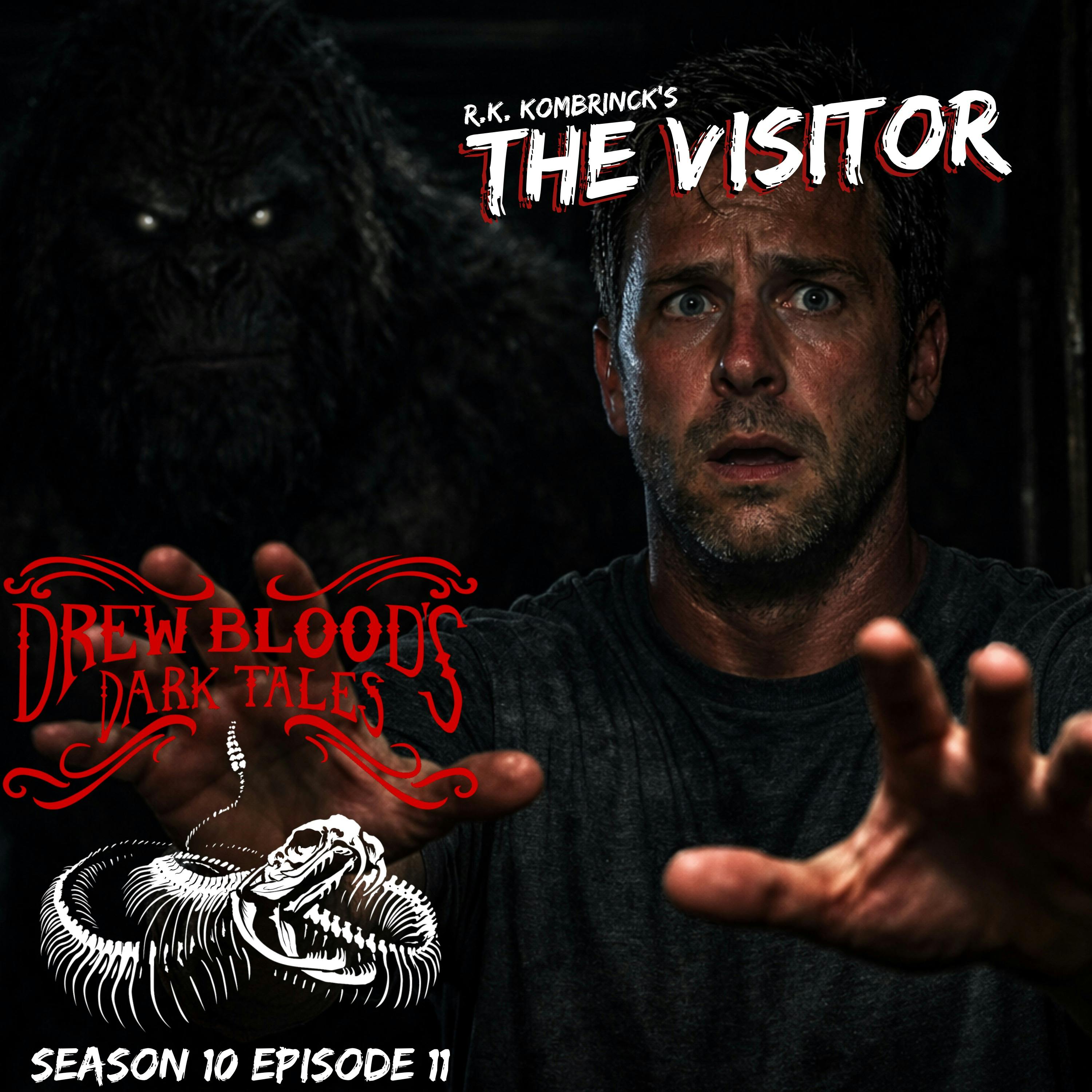 S10E11 - "The Visitor" - Drew Blood S10E11 - "The Visitor" - Drew Blood