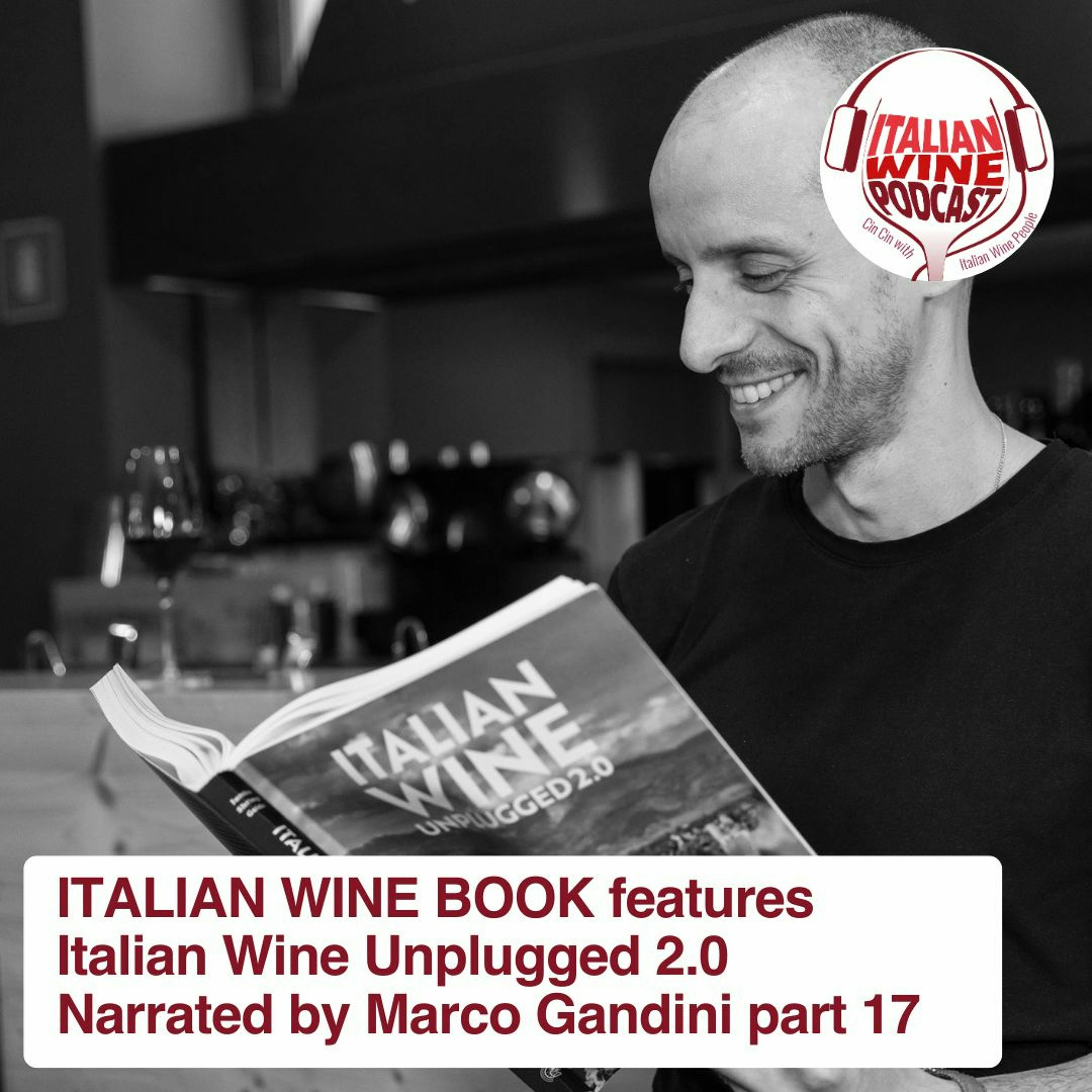 Ep. 1394 Marco Gandini Narrates Part 17 | Italian Wine Unplugged 2.0