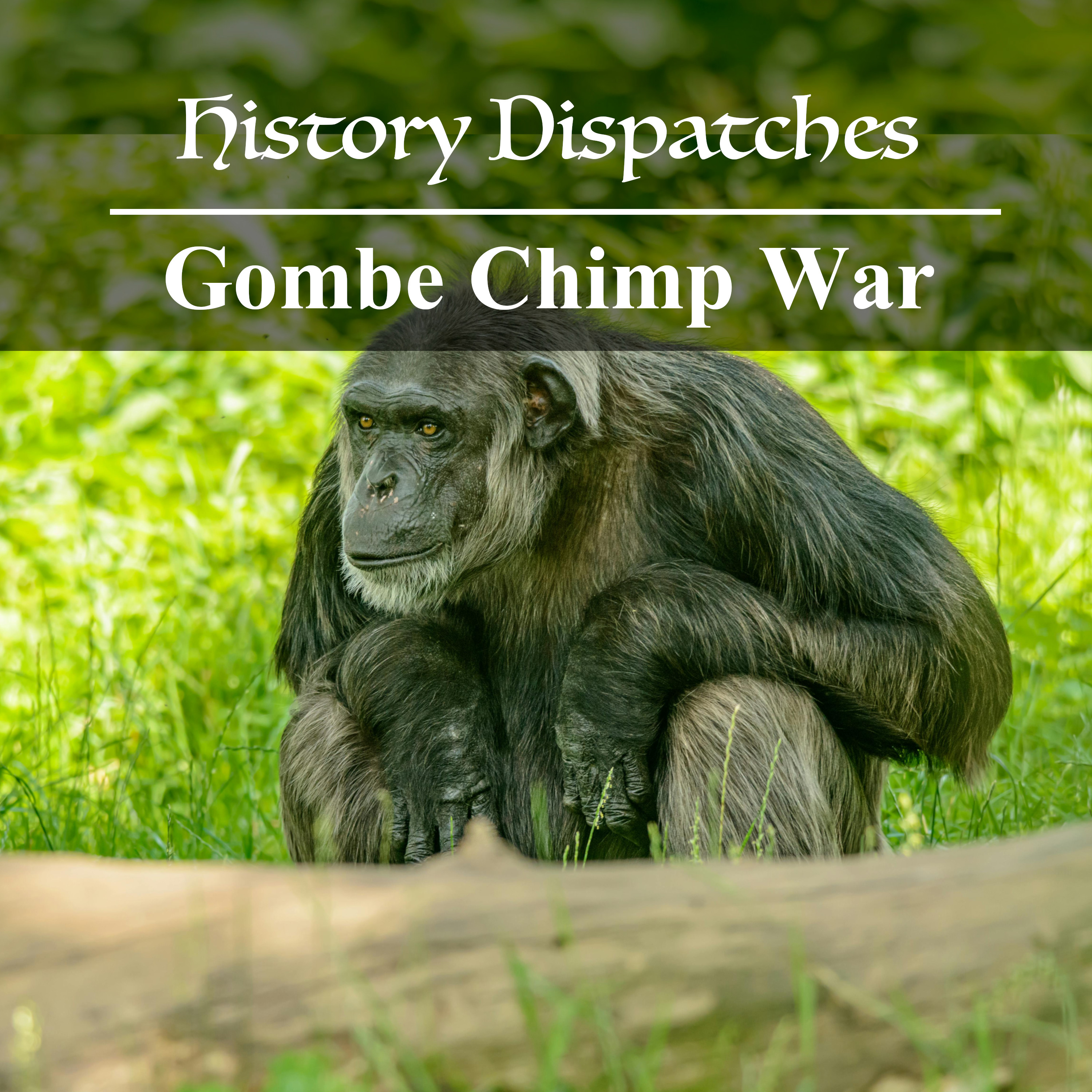 Gombe Chimp War
