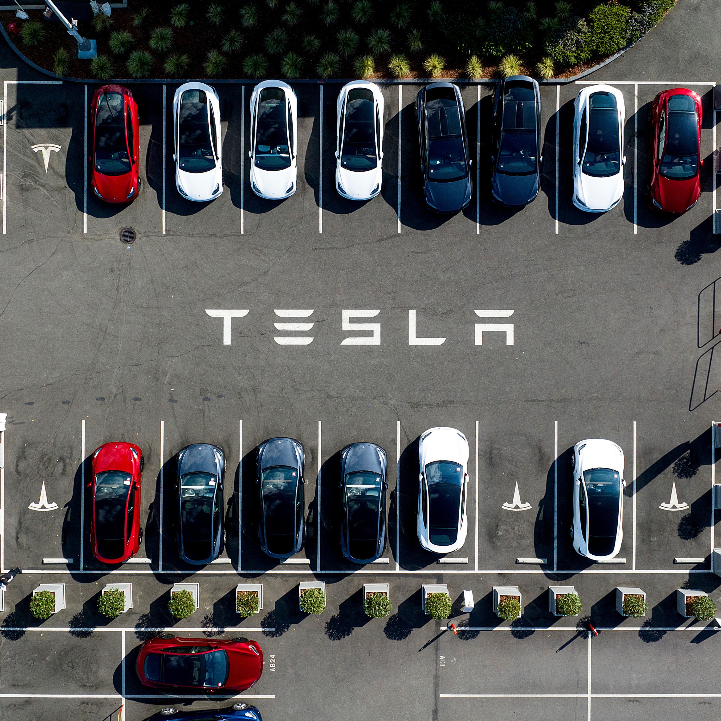 From DOGE to Damage Control: Musk to Scale Back Government Role as Tesla Profits Plunge