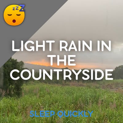 😴🌧️🎵 MUSIC with Light RAIN in the Countryside episode artwork
