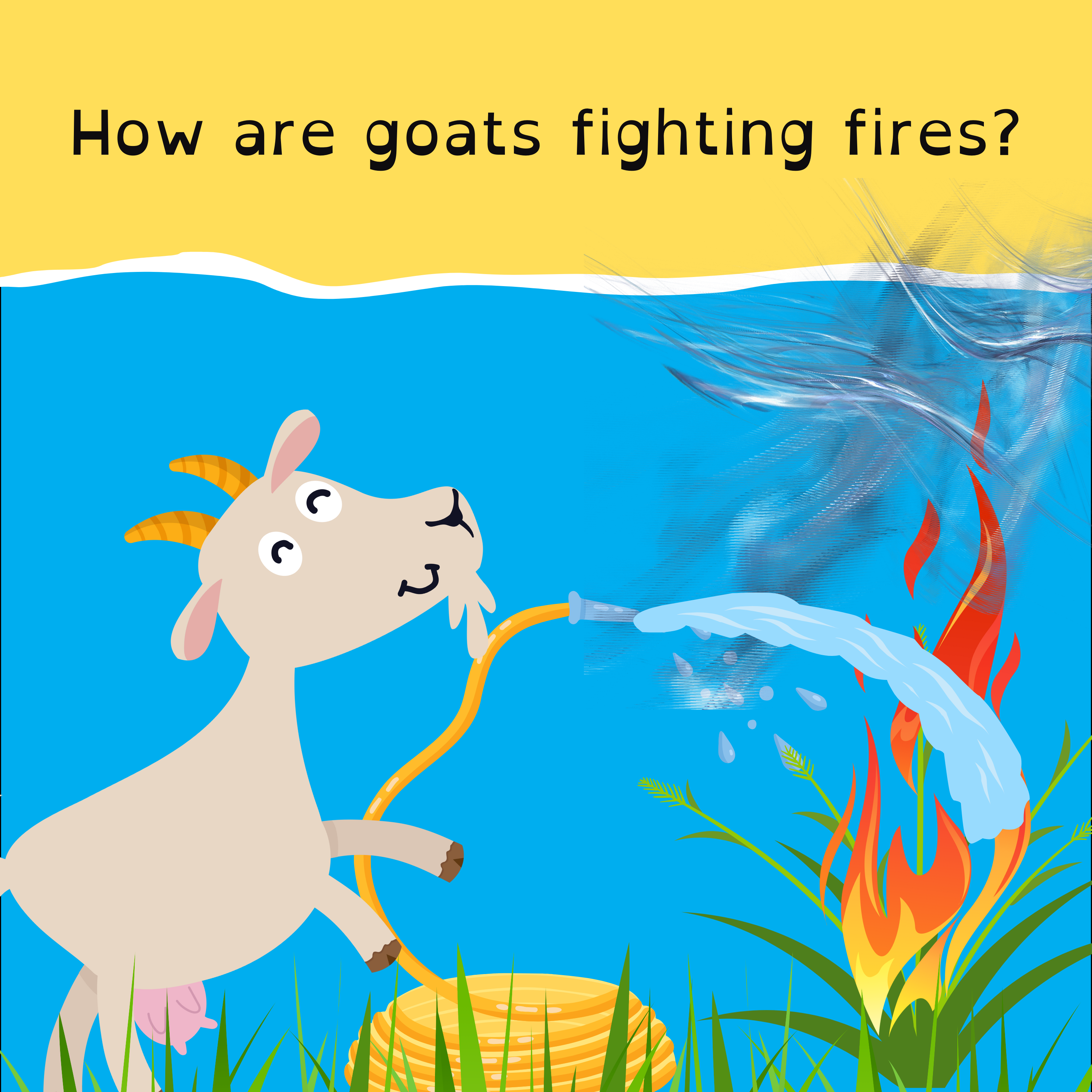 Australia wins the Cricket World Cup; Mulletfest is almost upon us; meet the firefighting goats; and SpaceX gets ready to try, try, again.