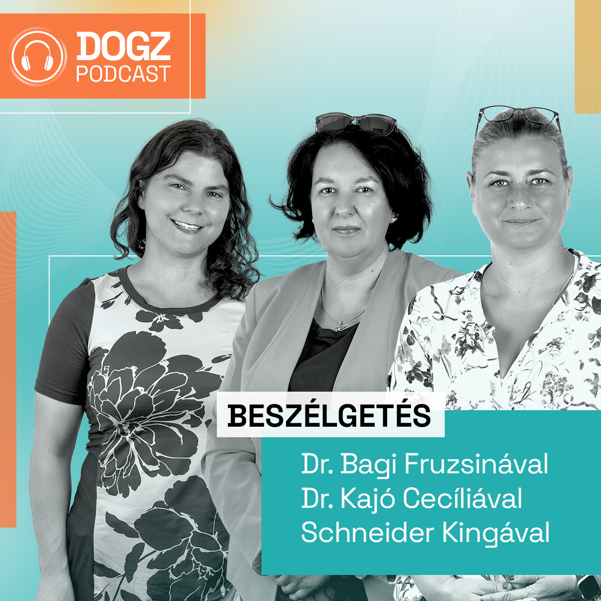 A kutyákon spórol a magyar társadalom