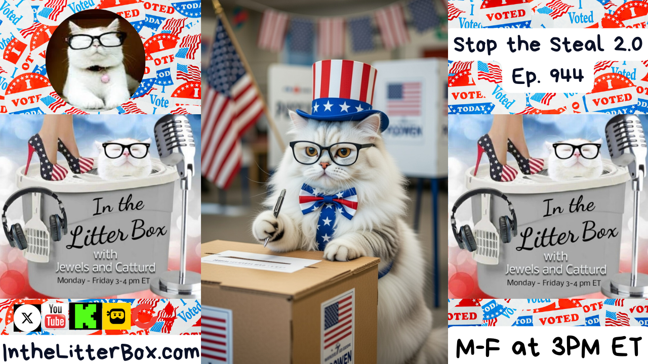 Stop the Steal 2.0 | In the Litter Box w/ Jewels & Catturd – Ep. 944– 1/7/2026