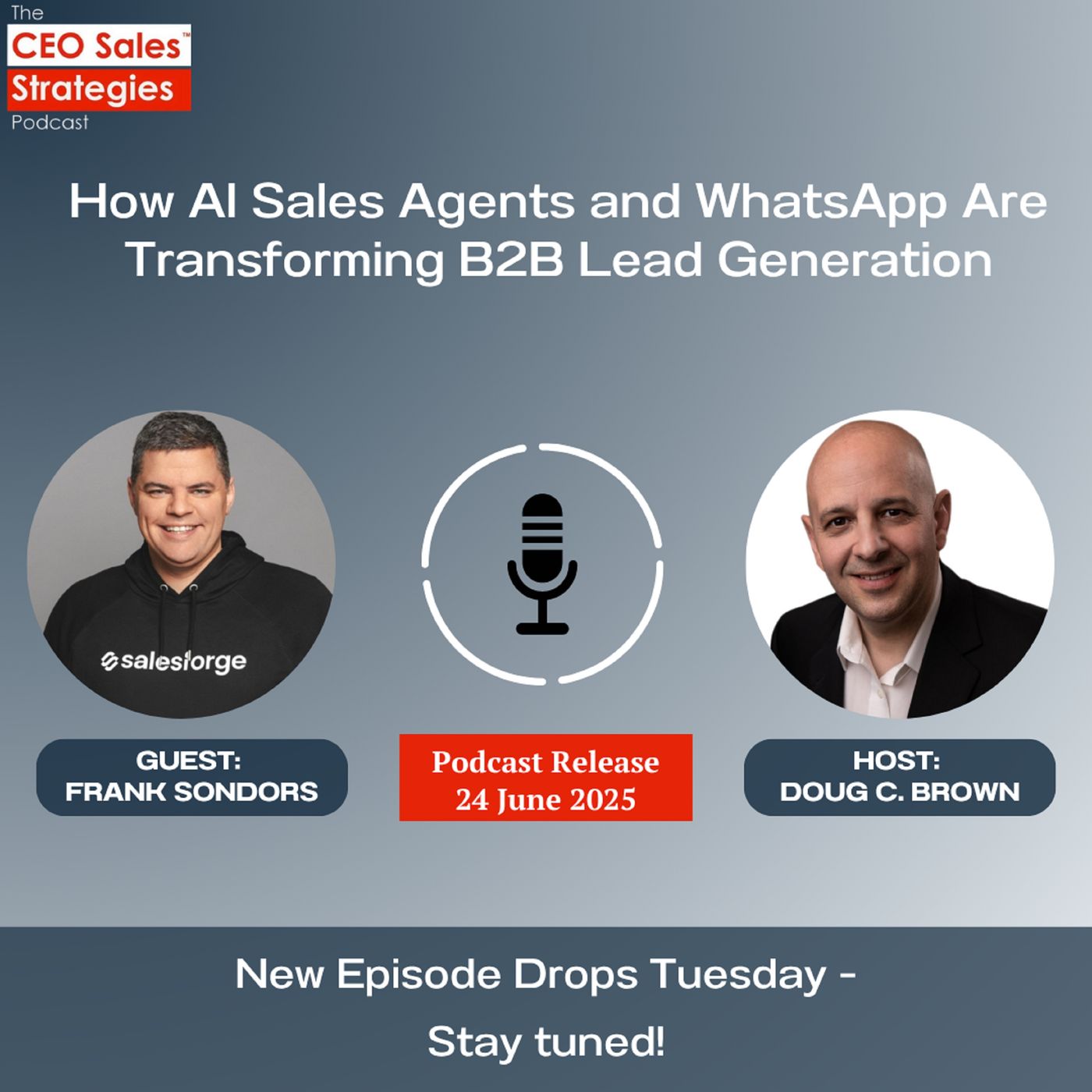 CEO Sales Strategies