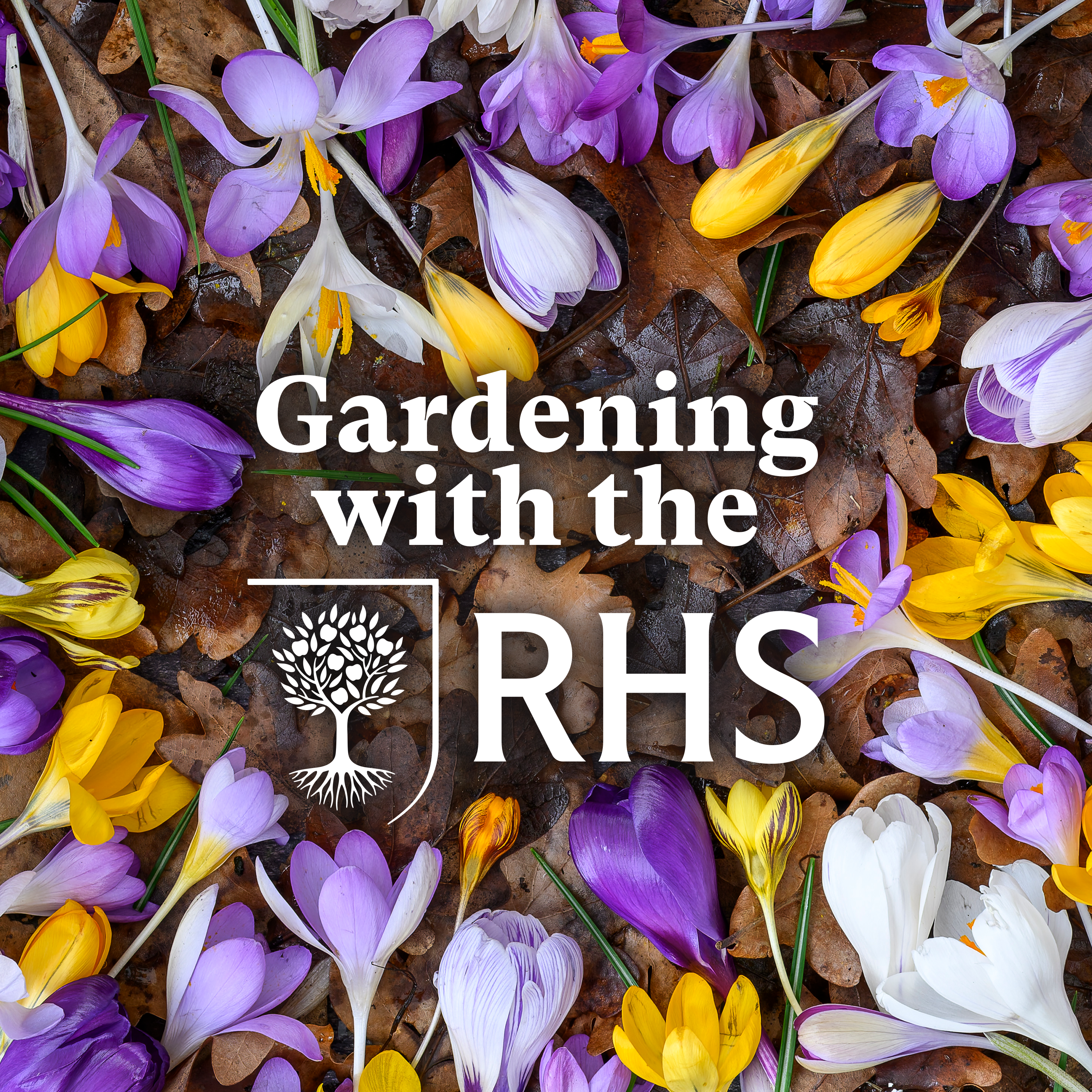 Gardening with the RHS