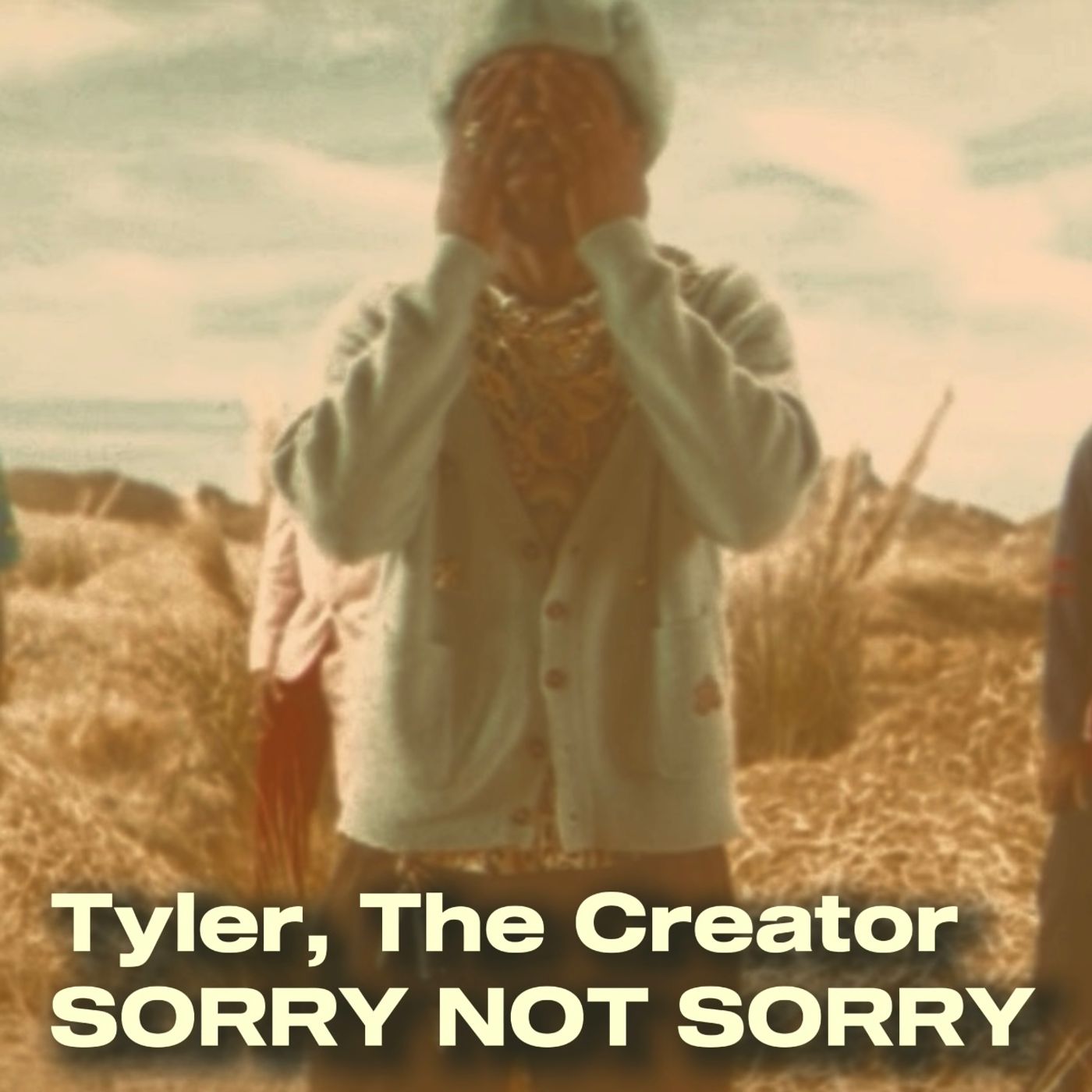 Tyler The Creator - SORRY NOT SORRY episode artwork