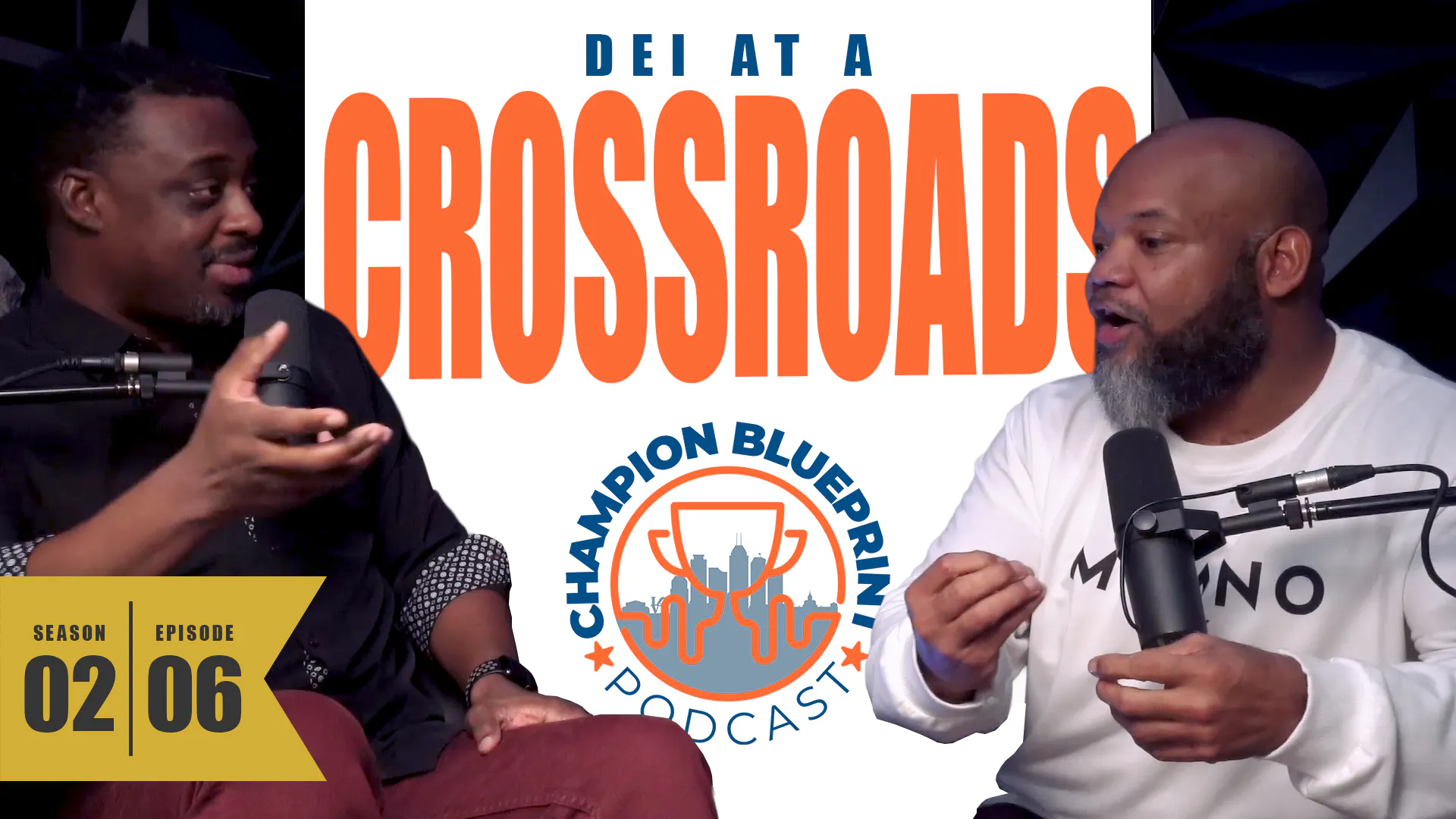 DEI at a Crossroads episode artwork
