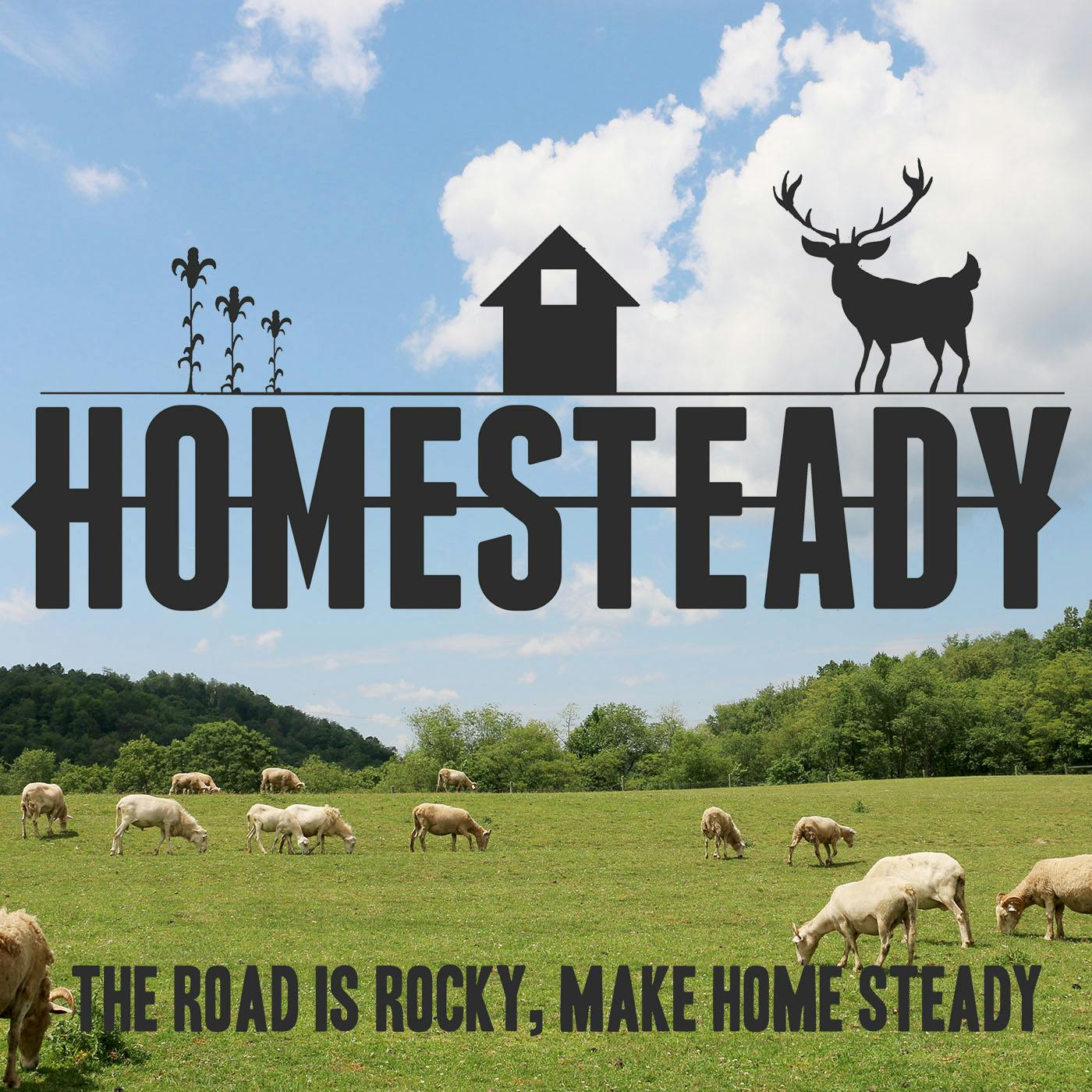 Big Announcements from Homesteady